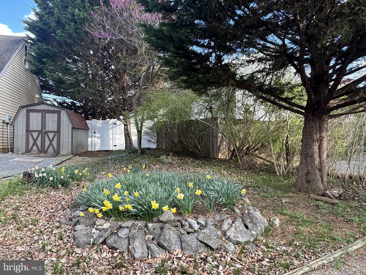 CHAPLINE'S CHOICE - Residential