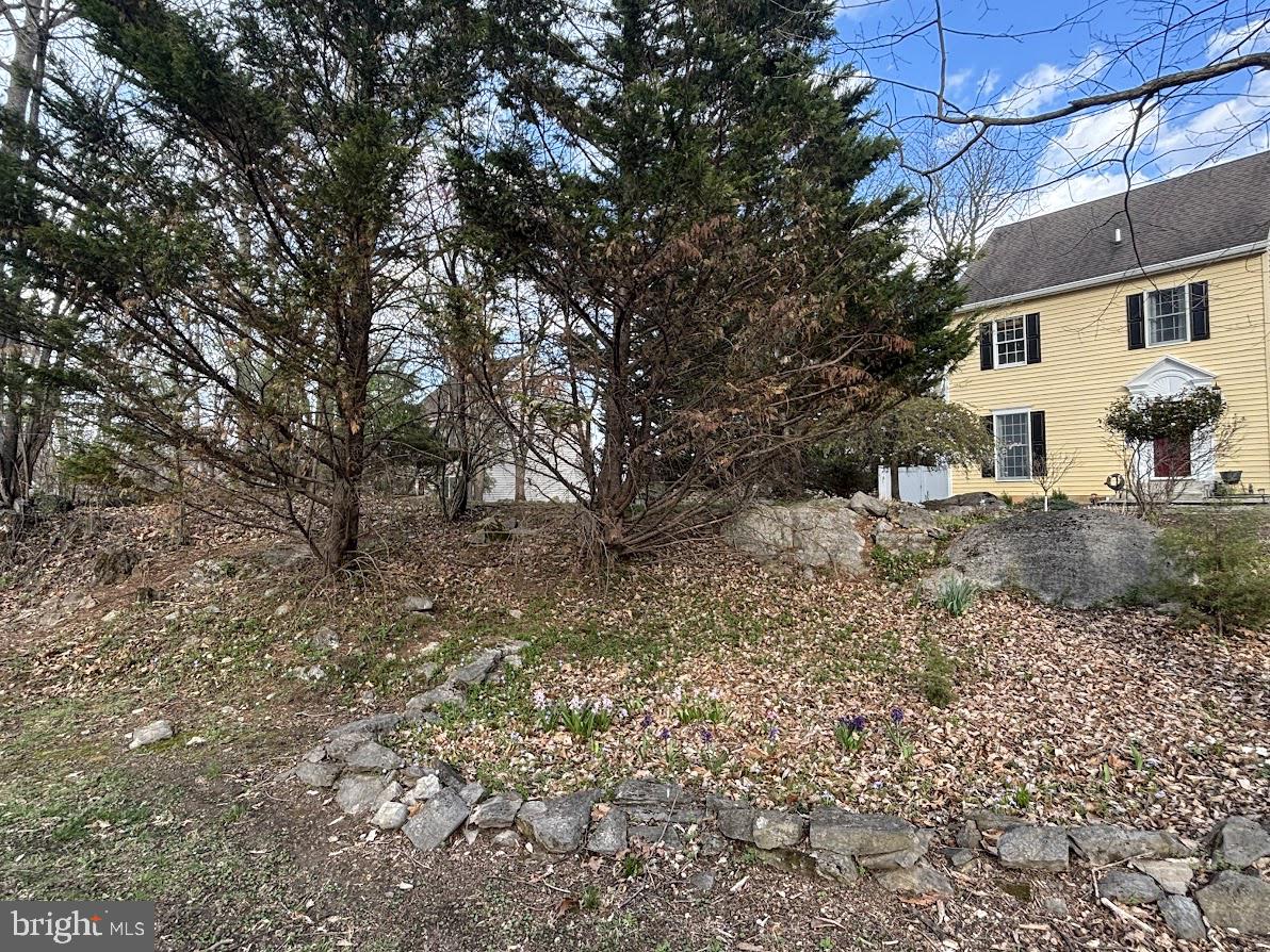 CHAPLINE'S CHOICE - Residential