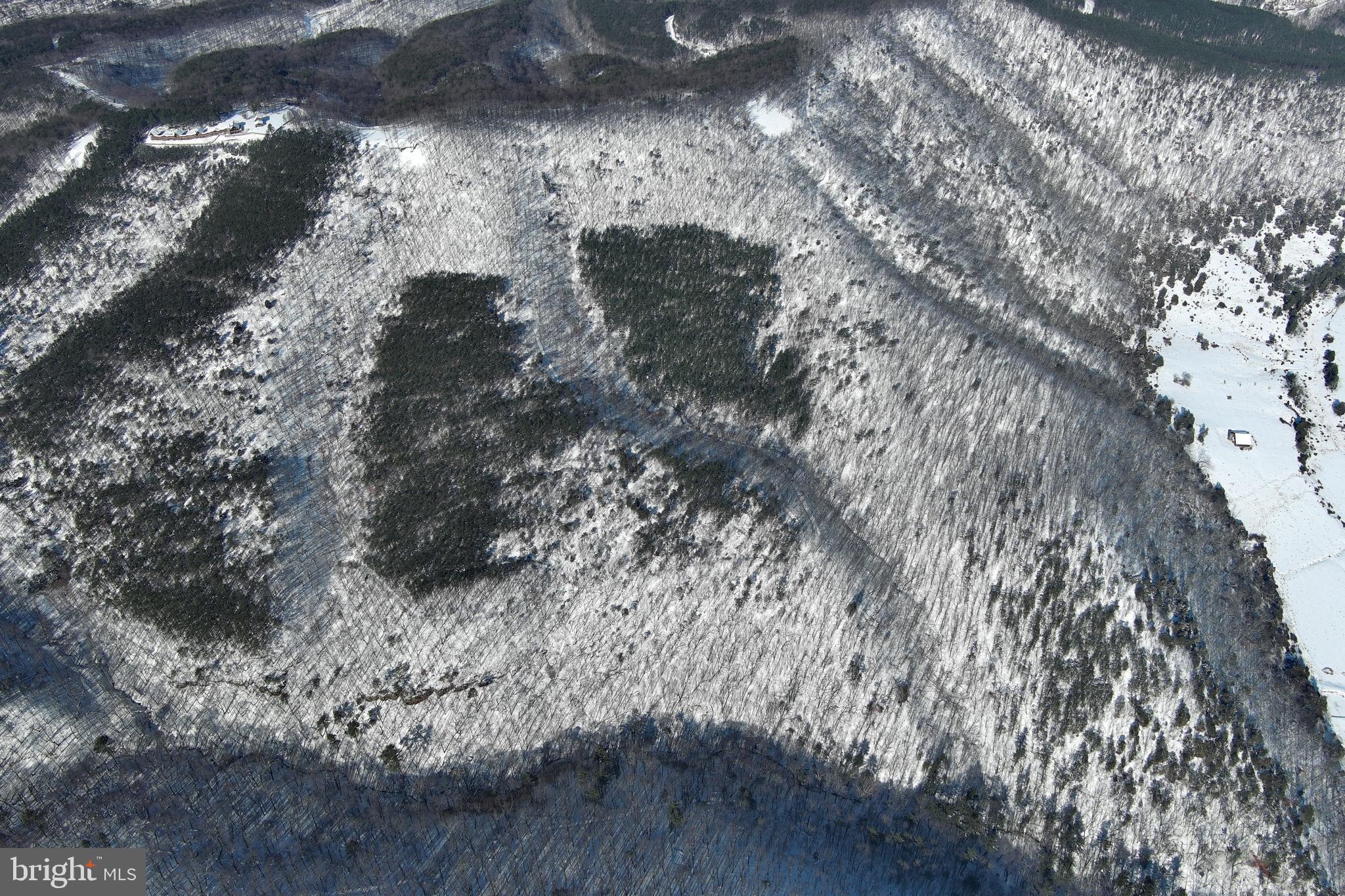 BLUFFS ON THE POTOMAC - Land