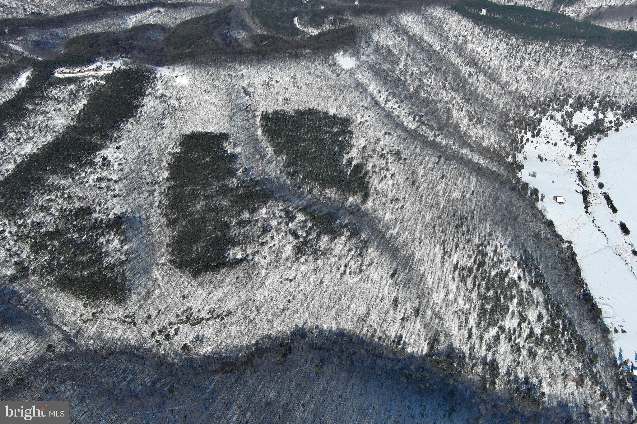 BLUFFS ON THE POTOMAC - Land