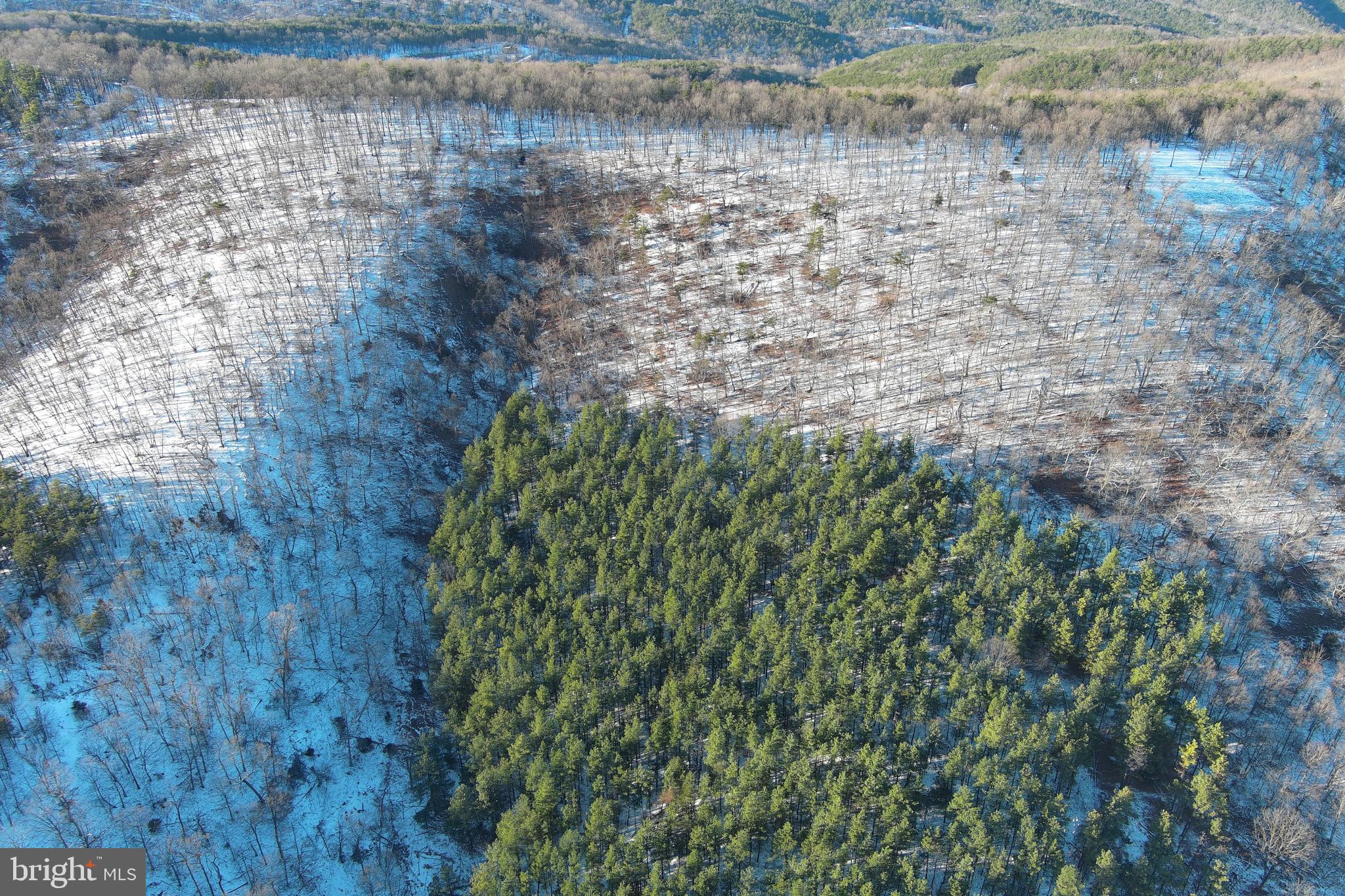 BLUFFS ON THE POTOMAC - Land