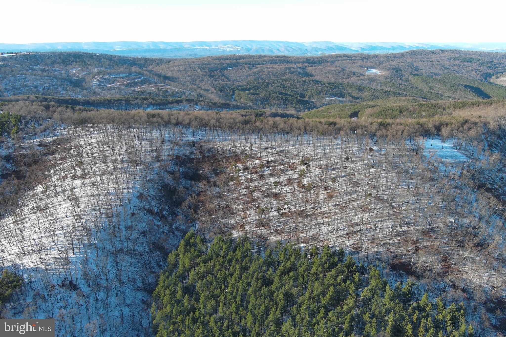 BLUFFS ON THE POTOMAC - Land