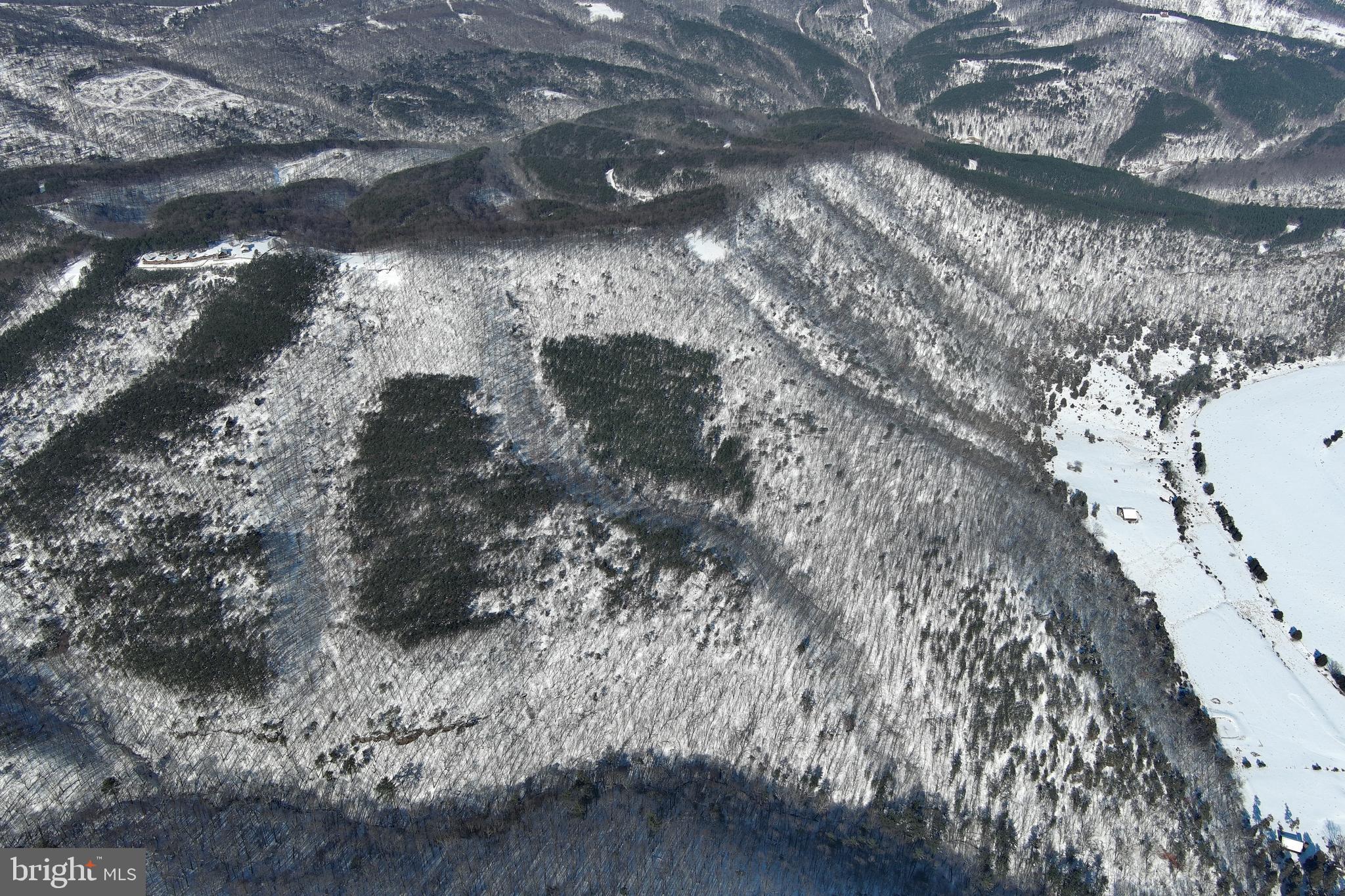 BLUFFS ON THE POTOMAC - Land