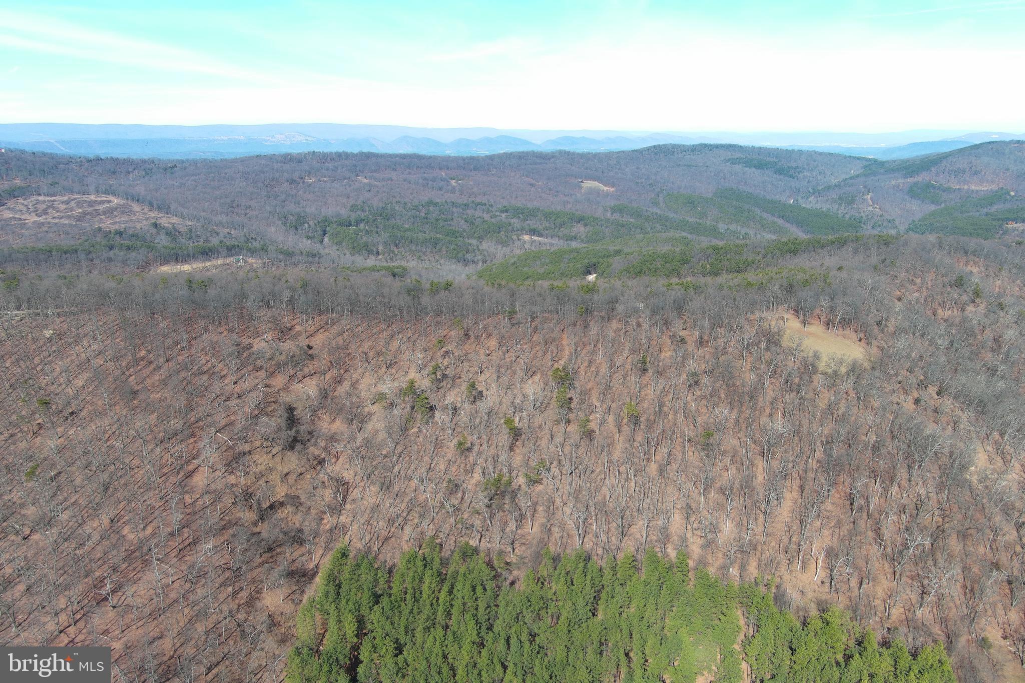 BLUFFS ON THE POTOMAC - Land