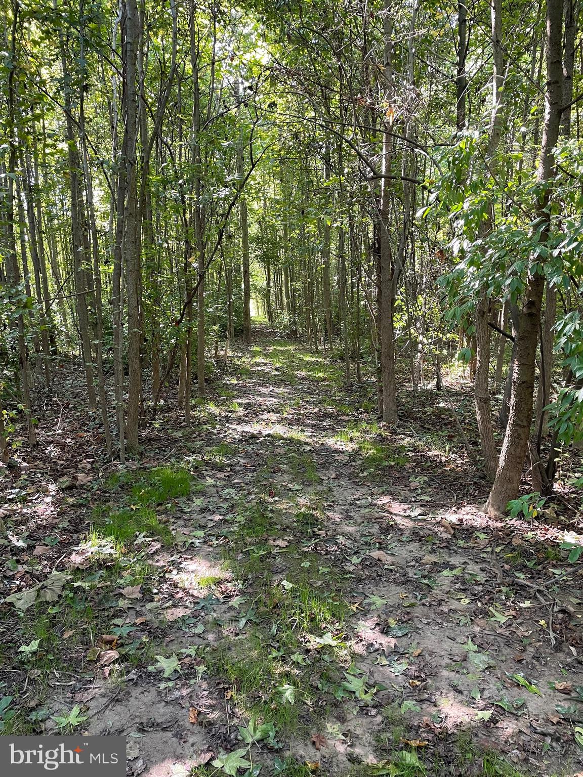 CHURCH HILL - Residential