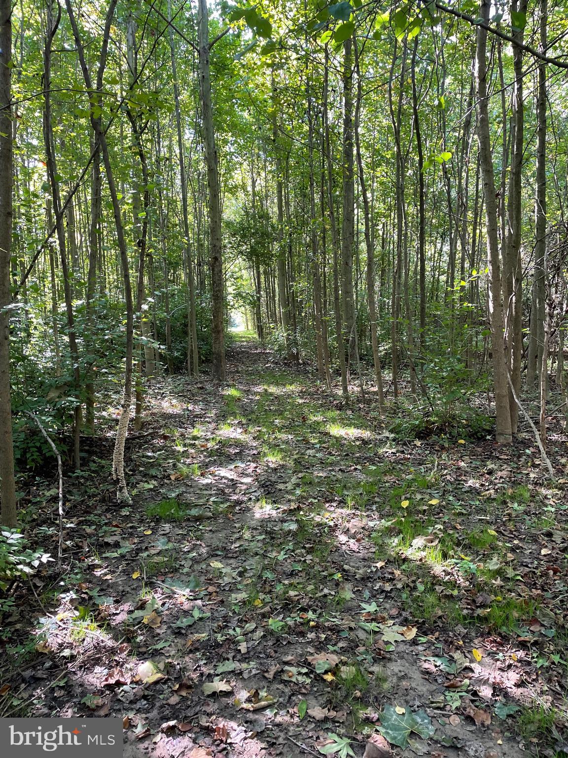 CHURCH HILL - Residential