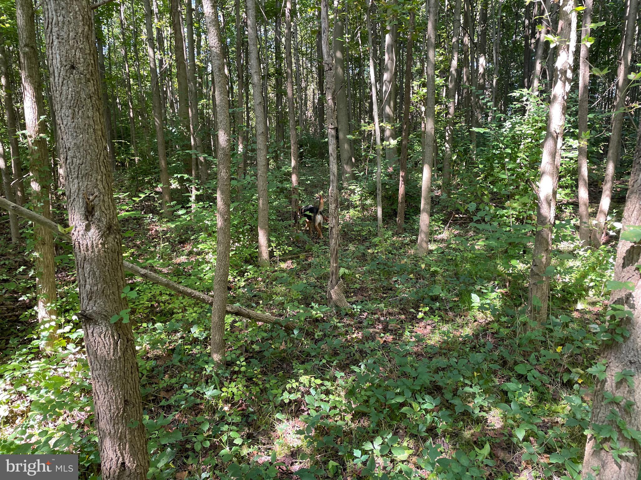 CHURCH HILL - Residential