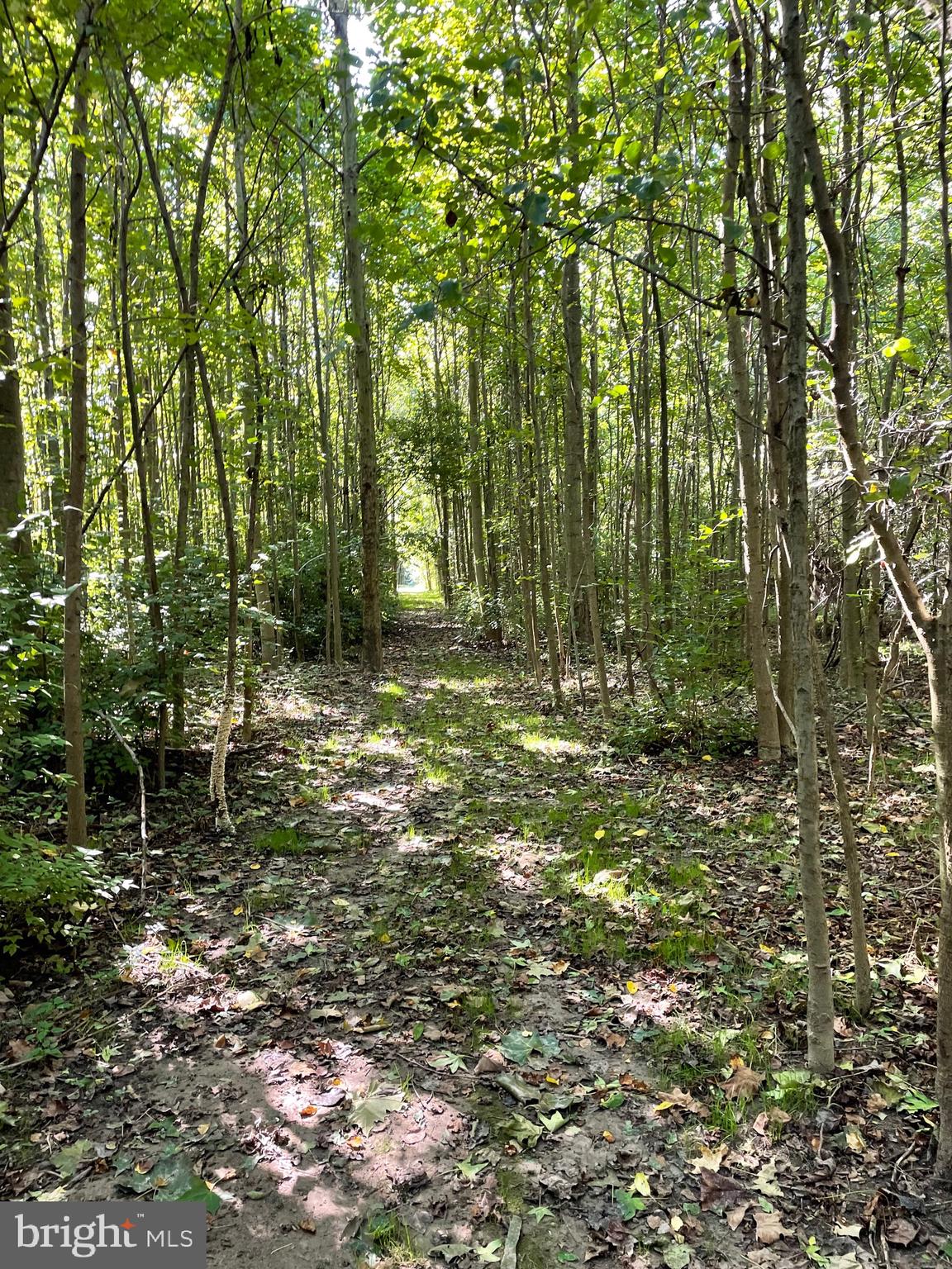 CHURCH HILL - Residential