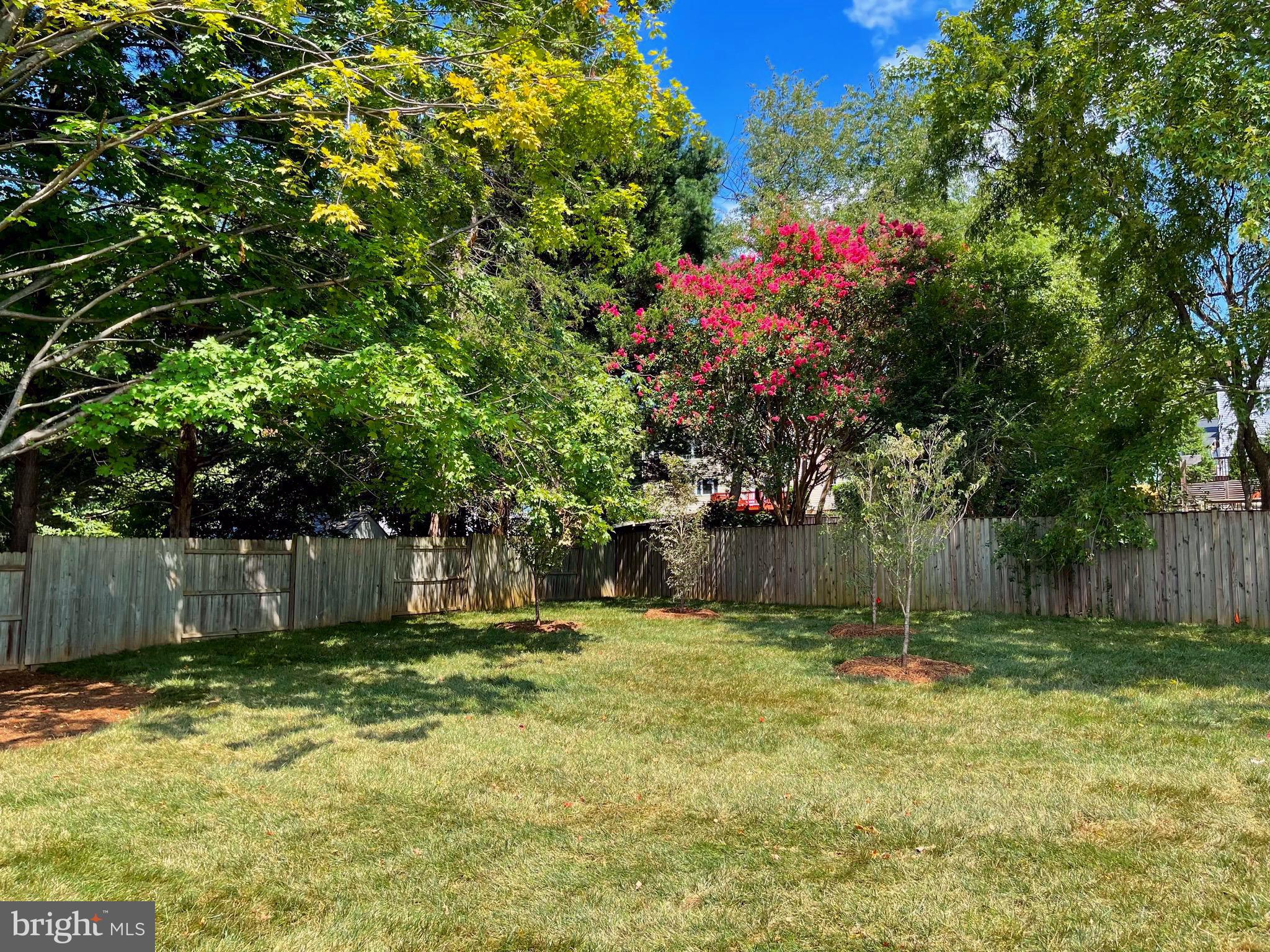 CONDON MANOR OF MCLEAN - Residential