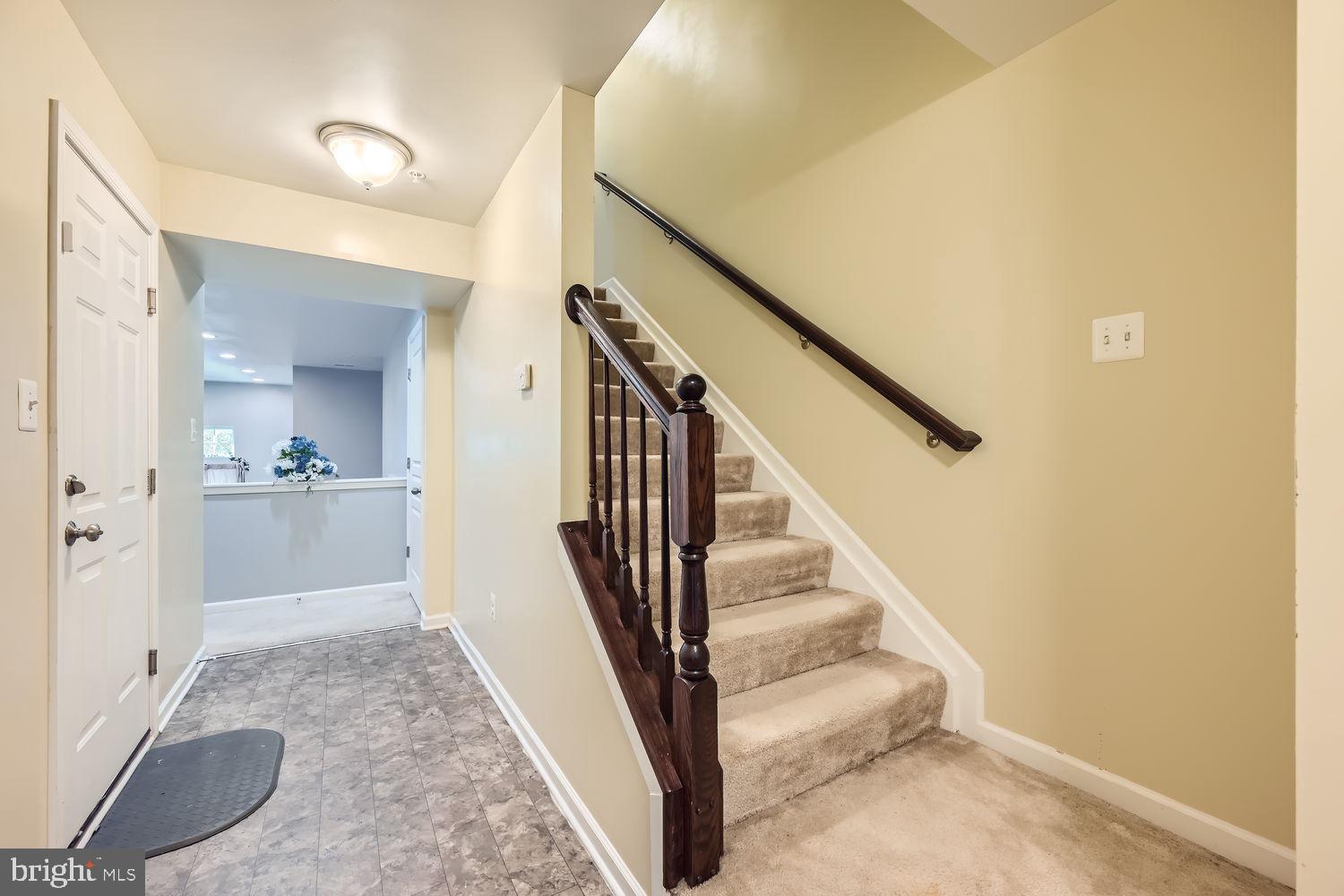 NORTH SHORE FOREST - Residential