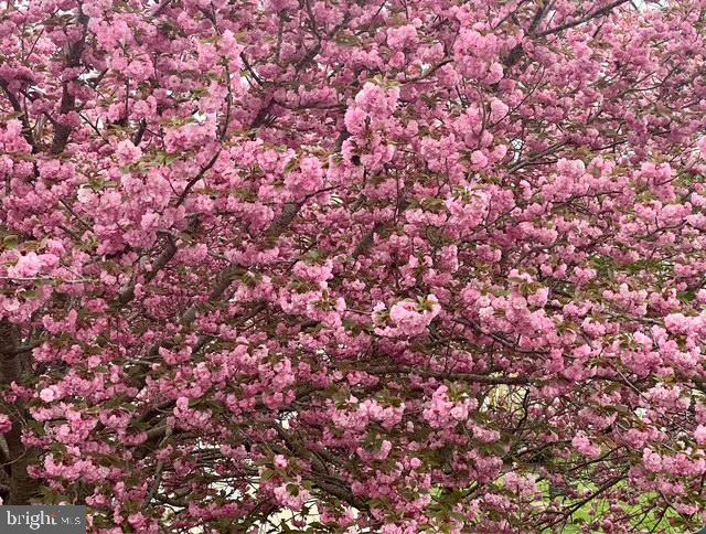 CEDAR BAY - Residential