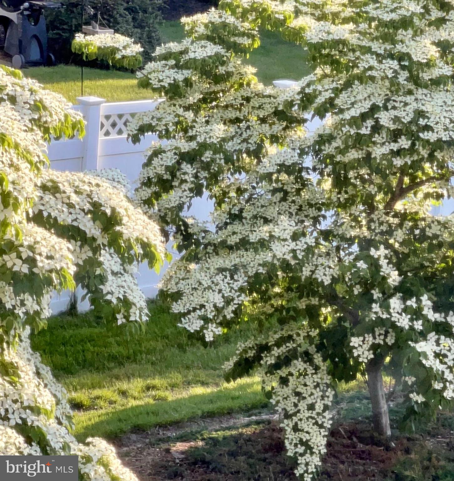 CEDAR BAY - Residential
