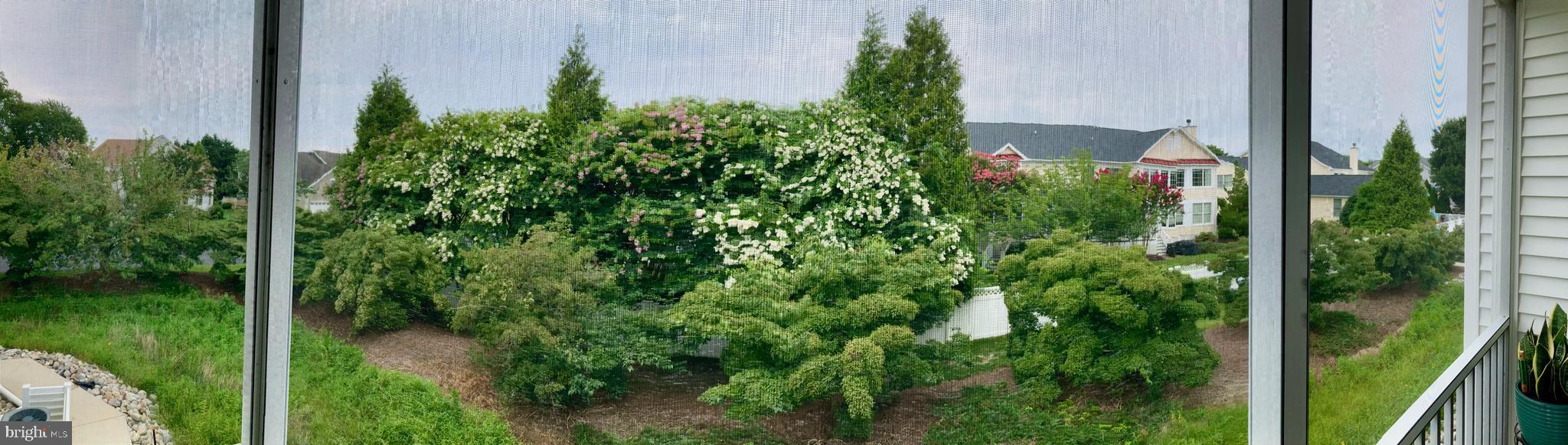 CEDAR BAY - Residential