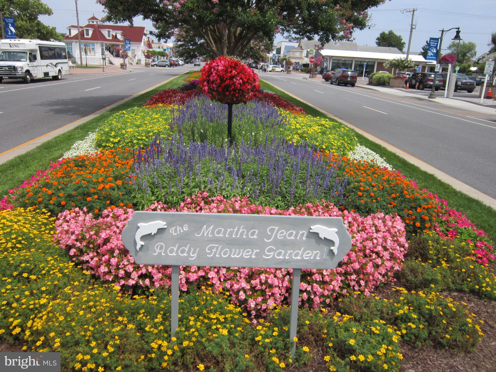 CEDAR BAY - Residential