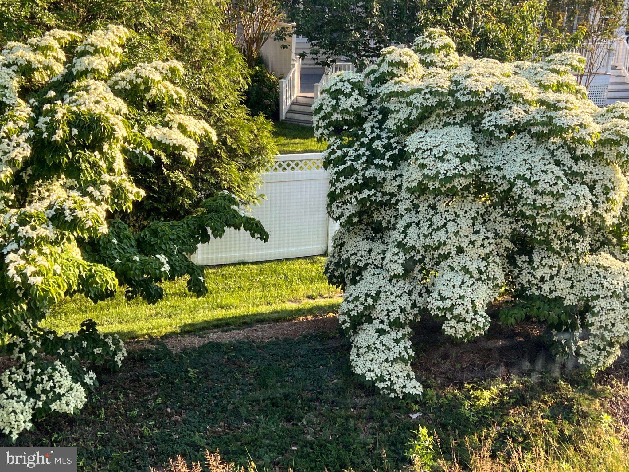 30619 CEDAR NECK ROAD 1211