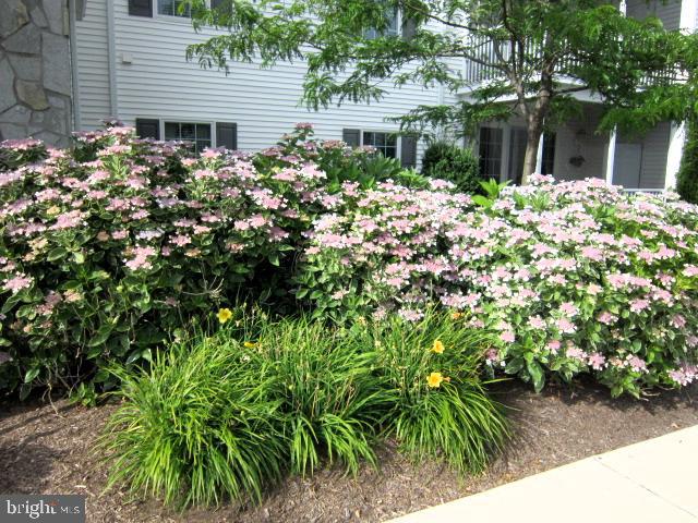 CEDAR BAY - Residential