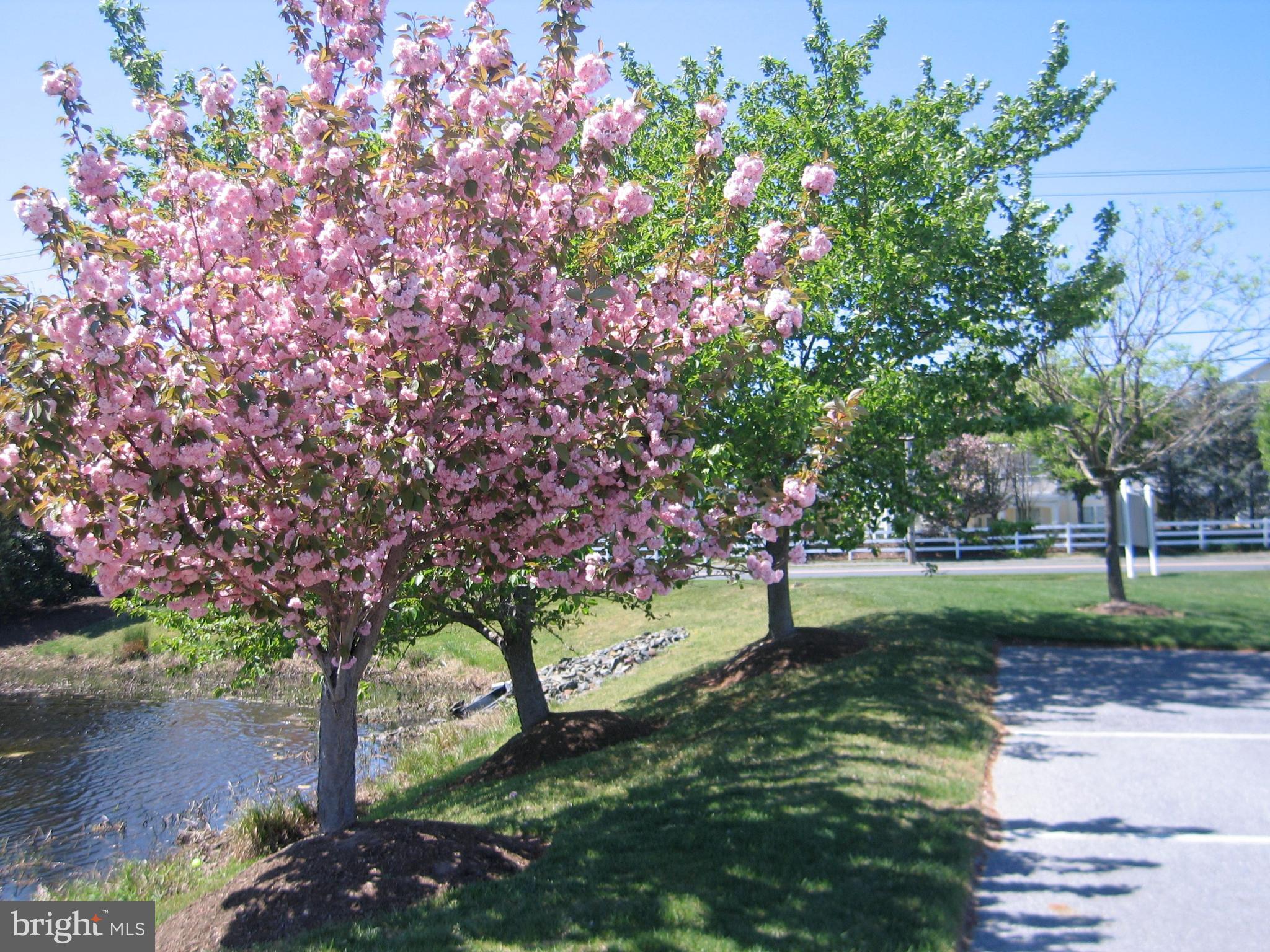 CEDAR BAY - Residential