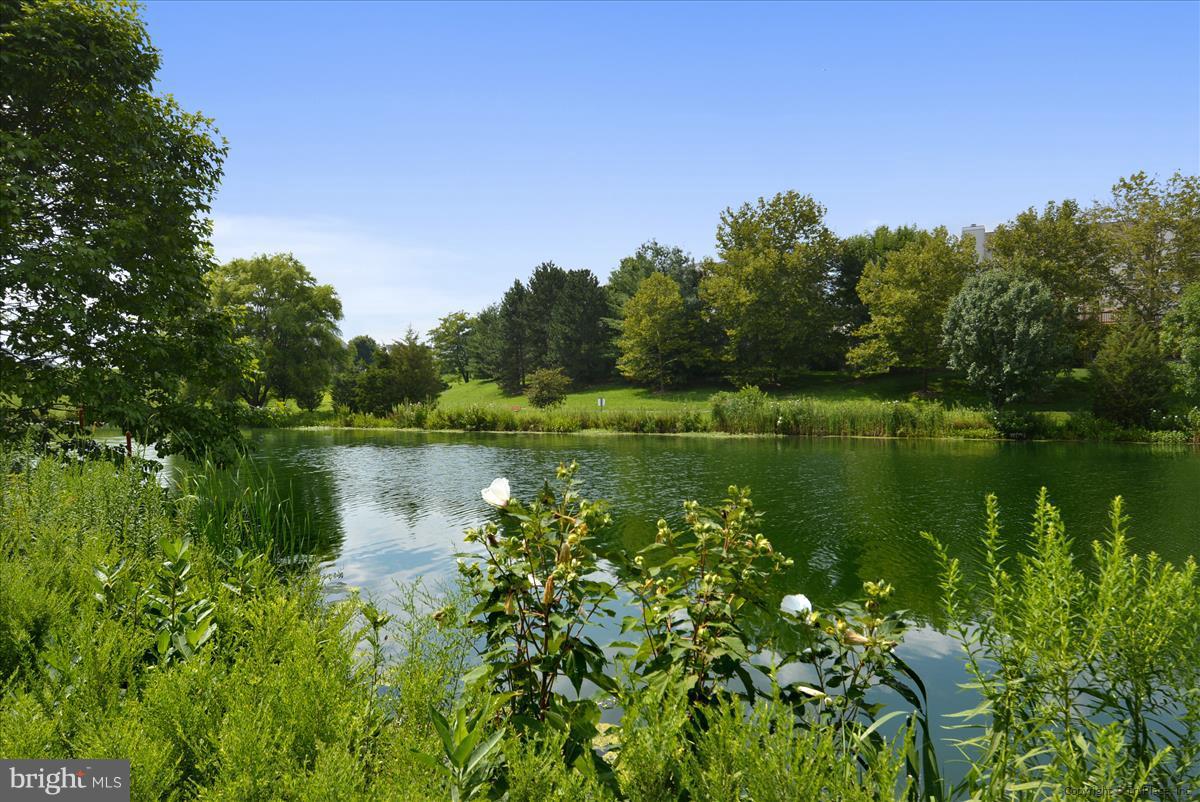 ASHBURN FARM - Residential