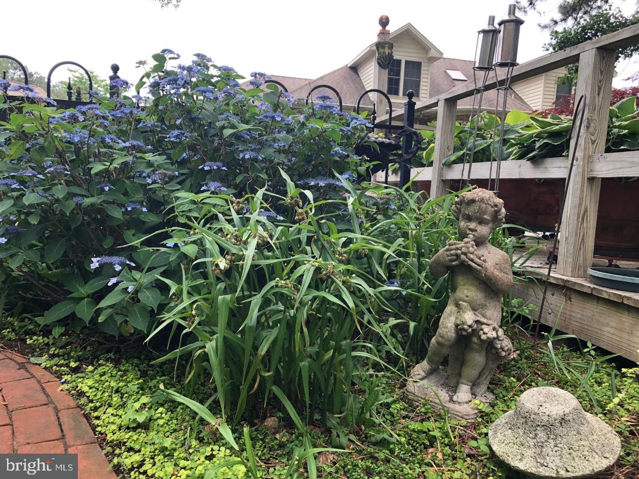 TIMBERLAKE - Residential