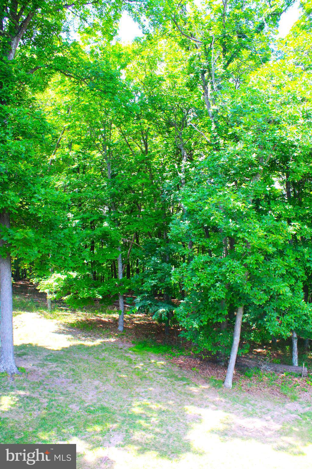 THE PINNACLE - Residential