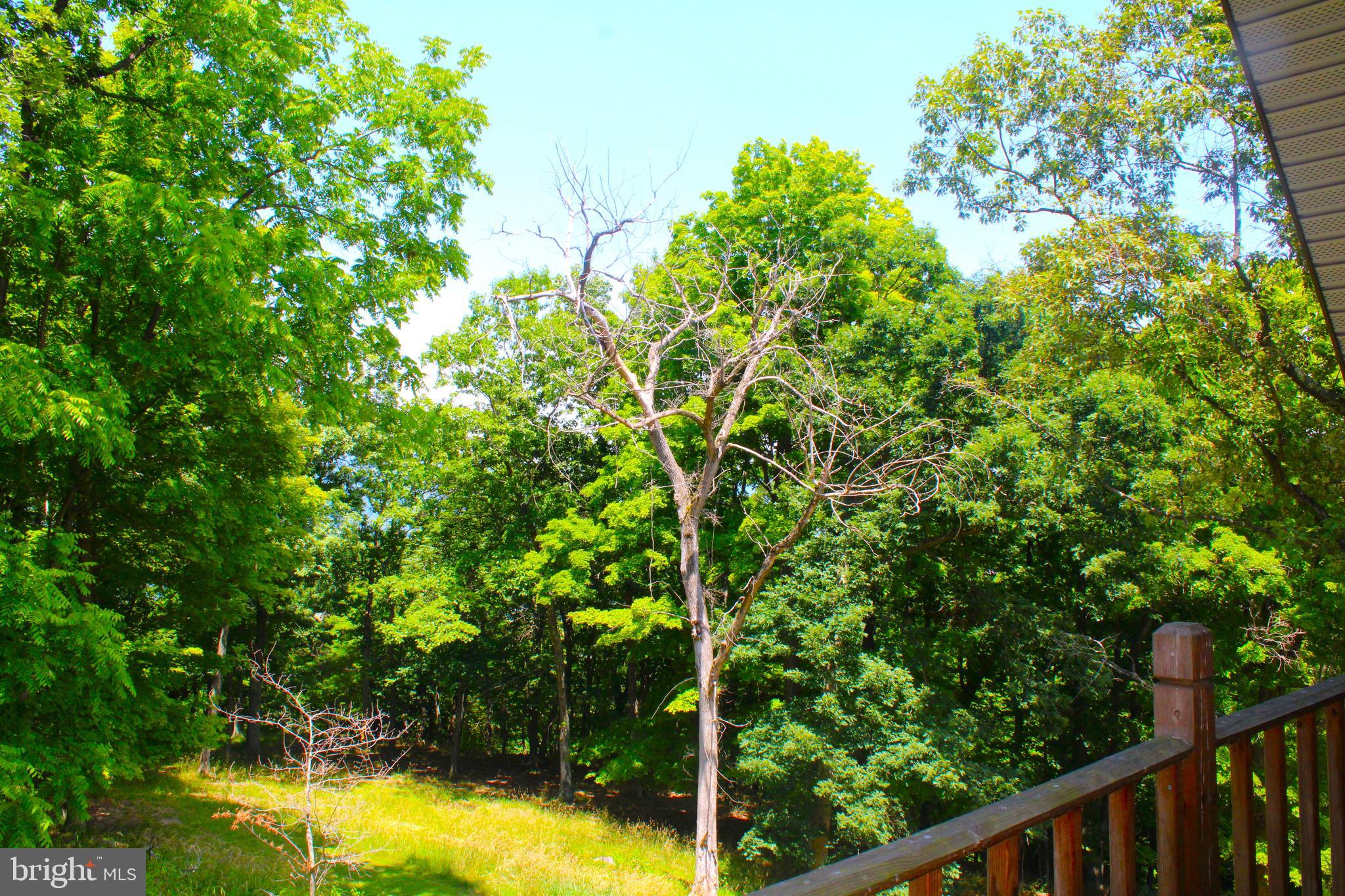 THE PINNACLE - Residential