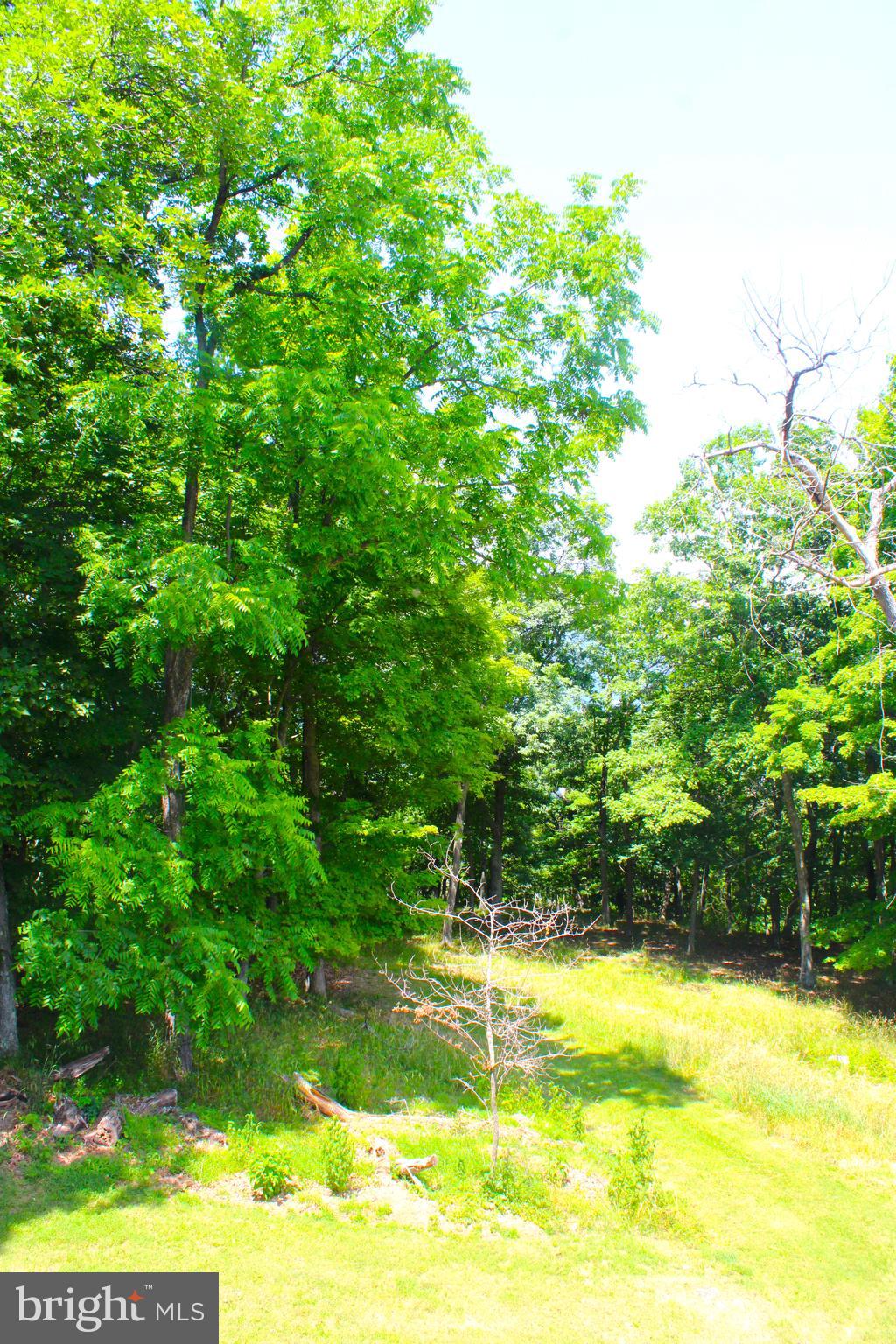 THE PINNACLE - Residential