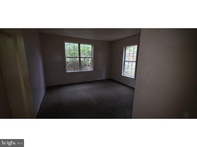 SHEN FARMS MT LAKE - Residential