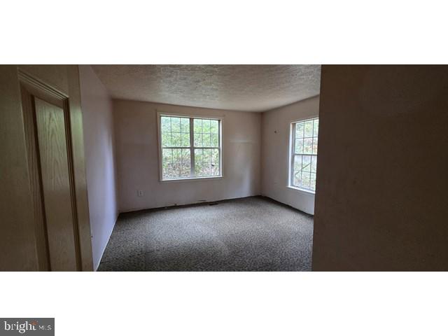 SHEN FARMS MT LAKE - Residential