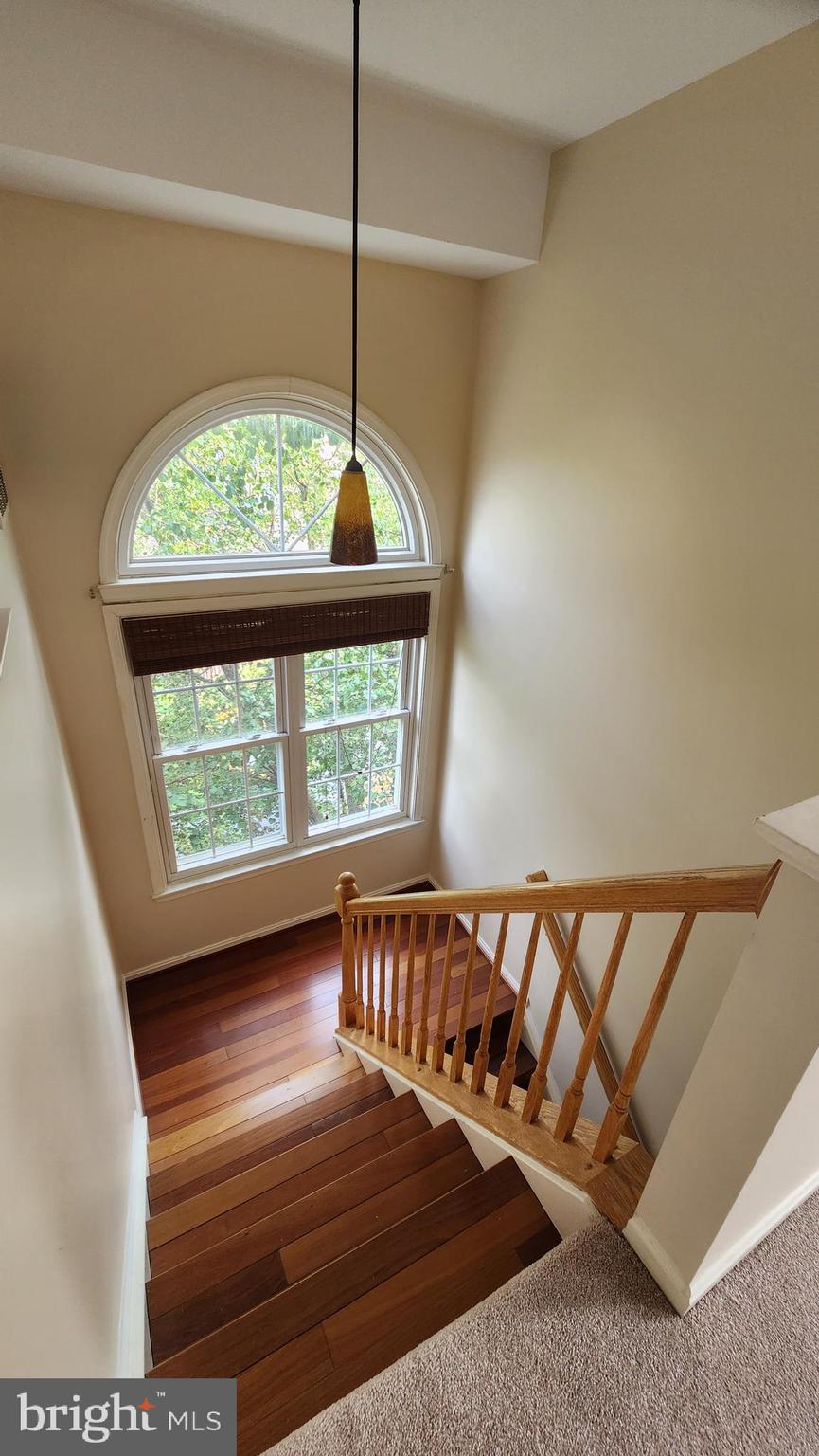 KINGSTOWNE - Residential