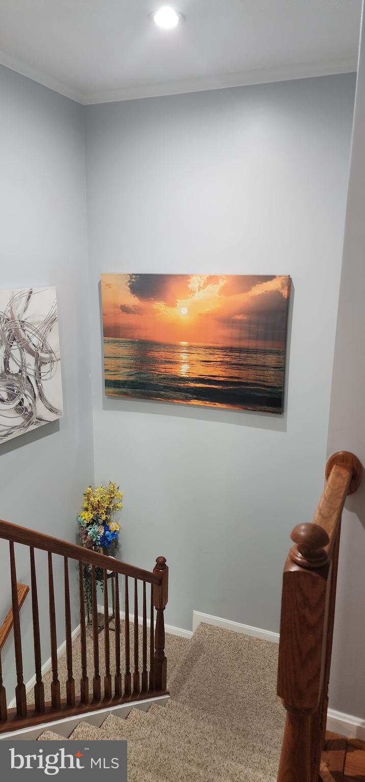 TOWN CENTER AT CAMP SPRINGS - Residential