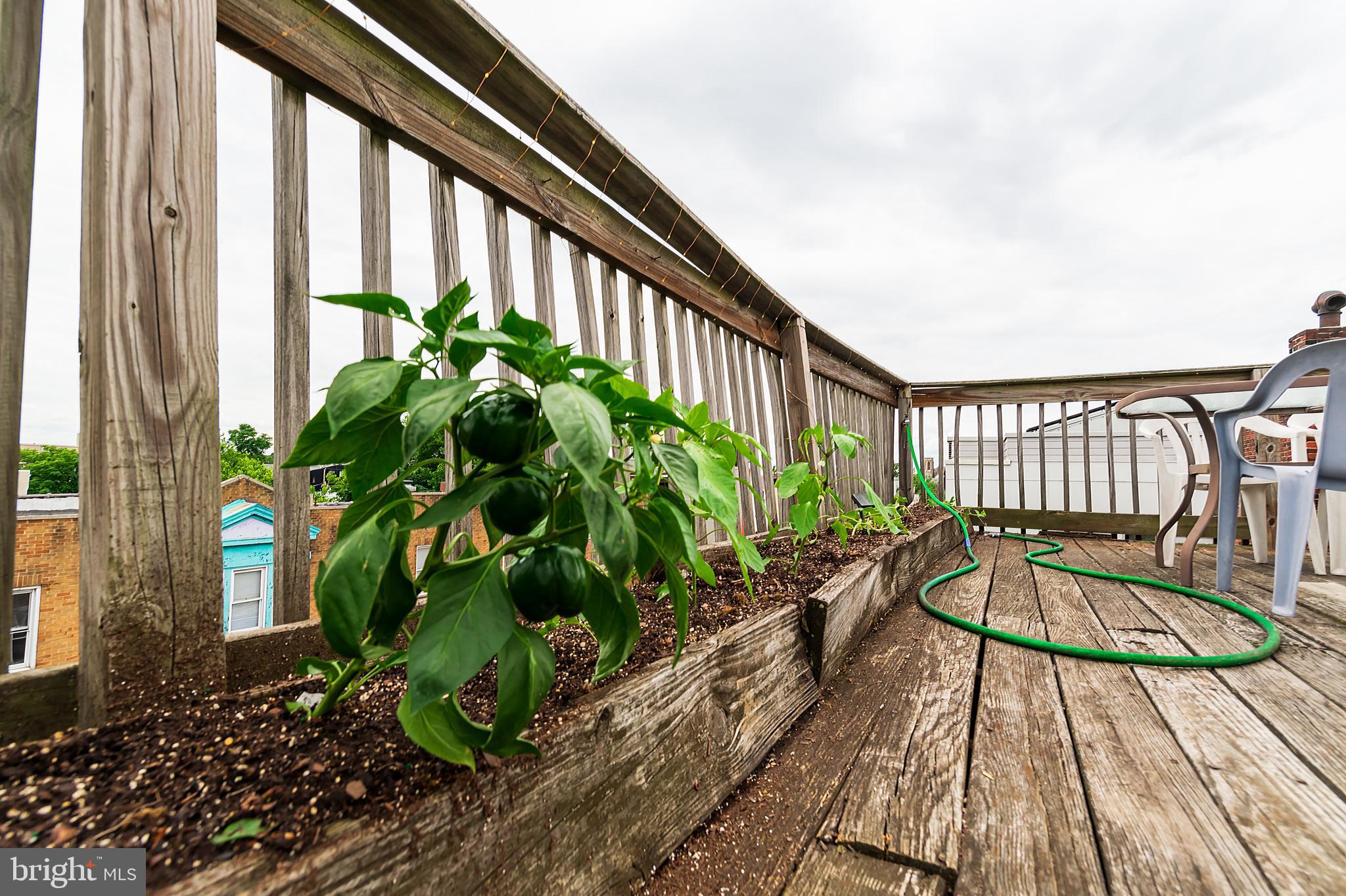 BREWERYTOWN - Residential Lease