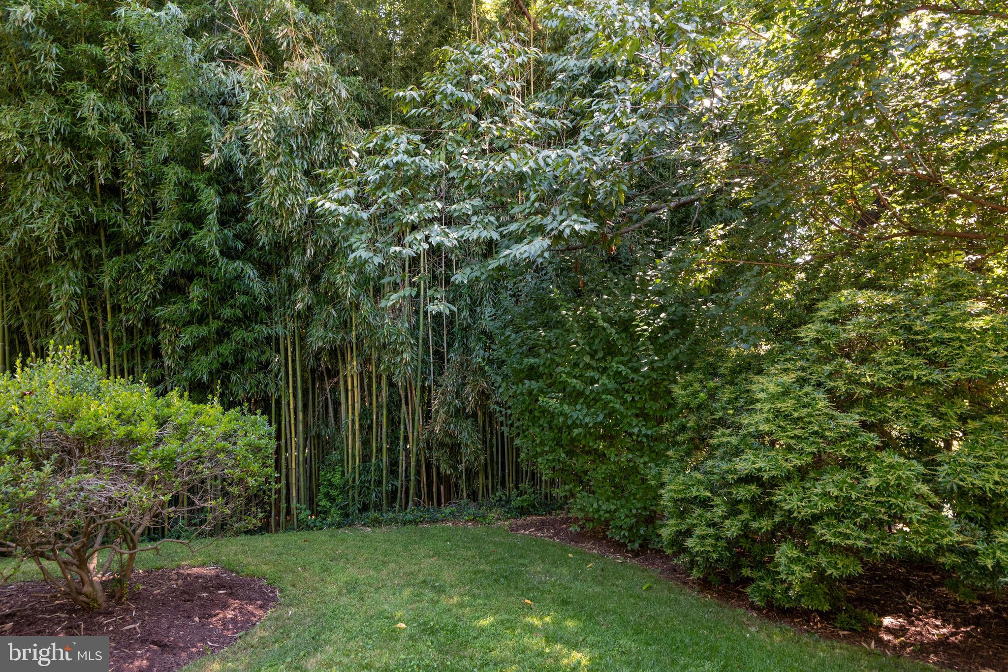 MAPLEWOOD MANOR - Residential