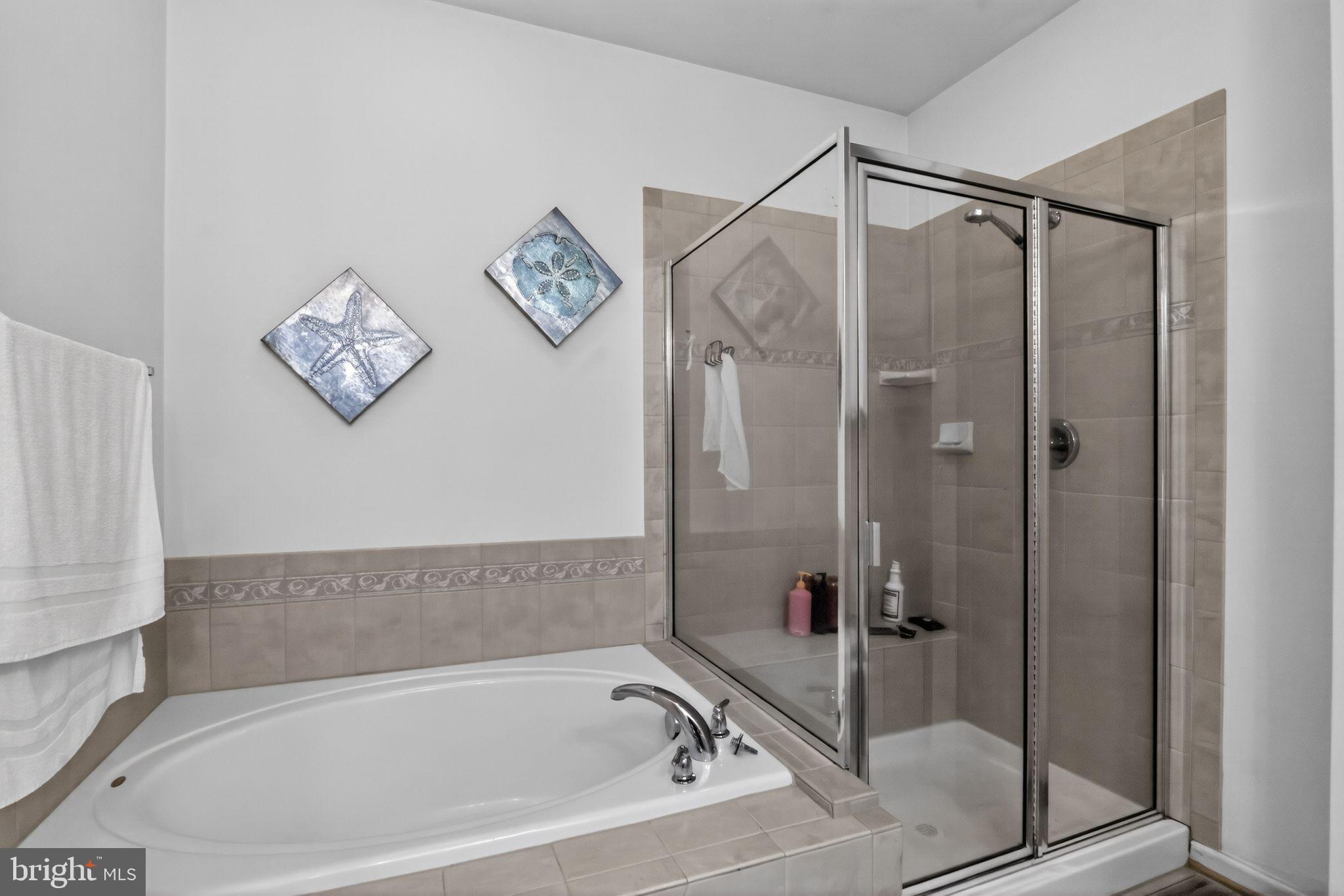 SUFFIELD MEADOWS - Residential