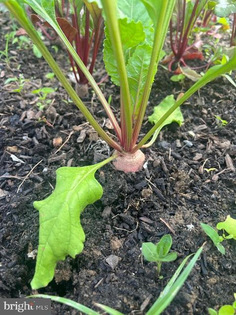 ALLNUTT FARMS ESTATES - Residential