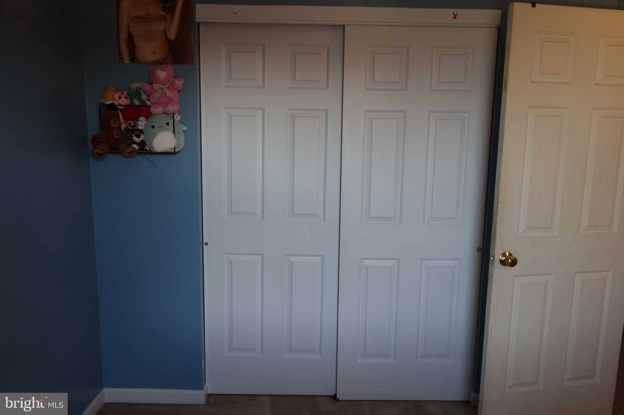 MOUNTAIN SHADOWS - Residential