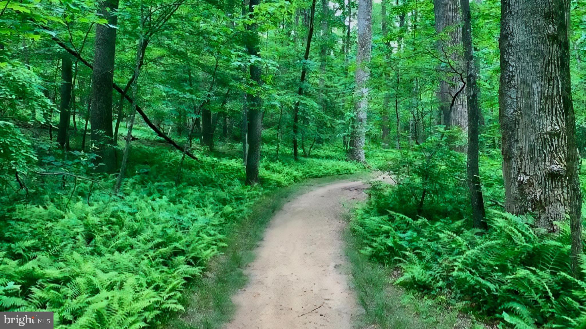 ESTATES AT GREAT FALLS - Residential