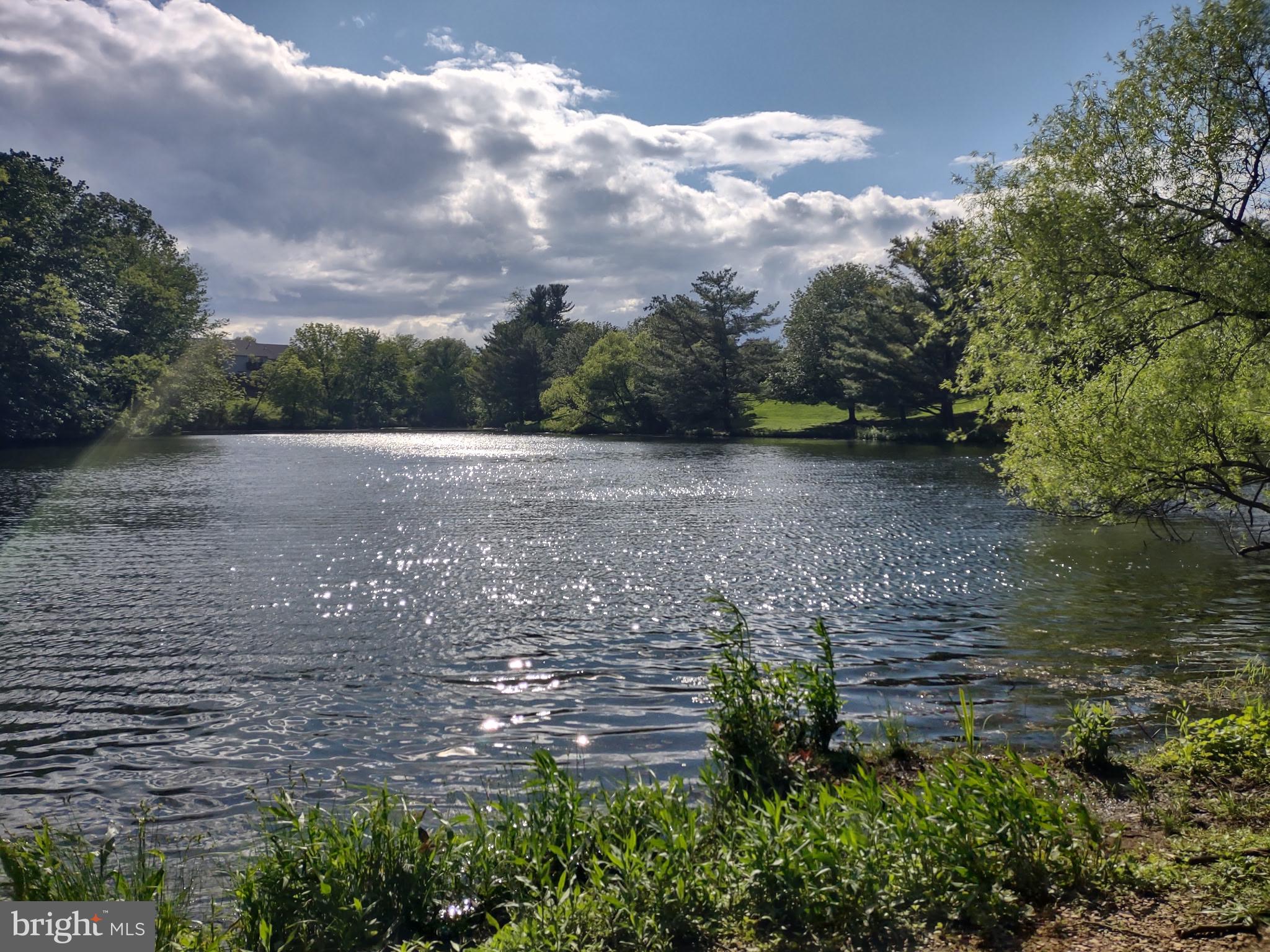 SUMMIT POINTE - Residential