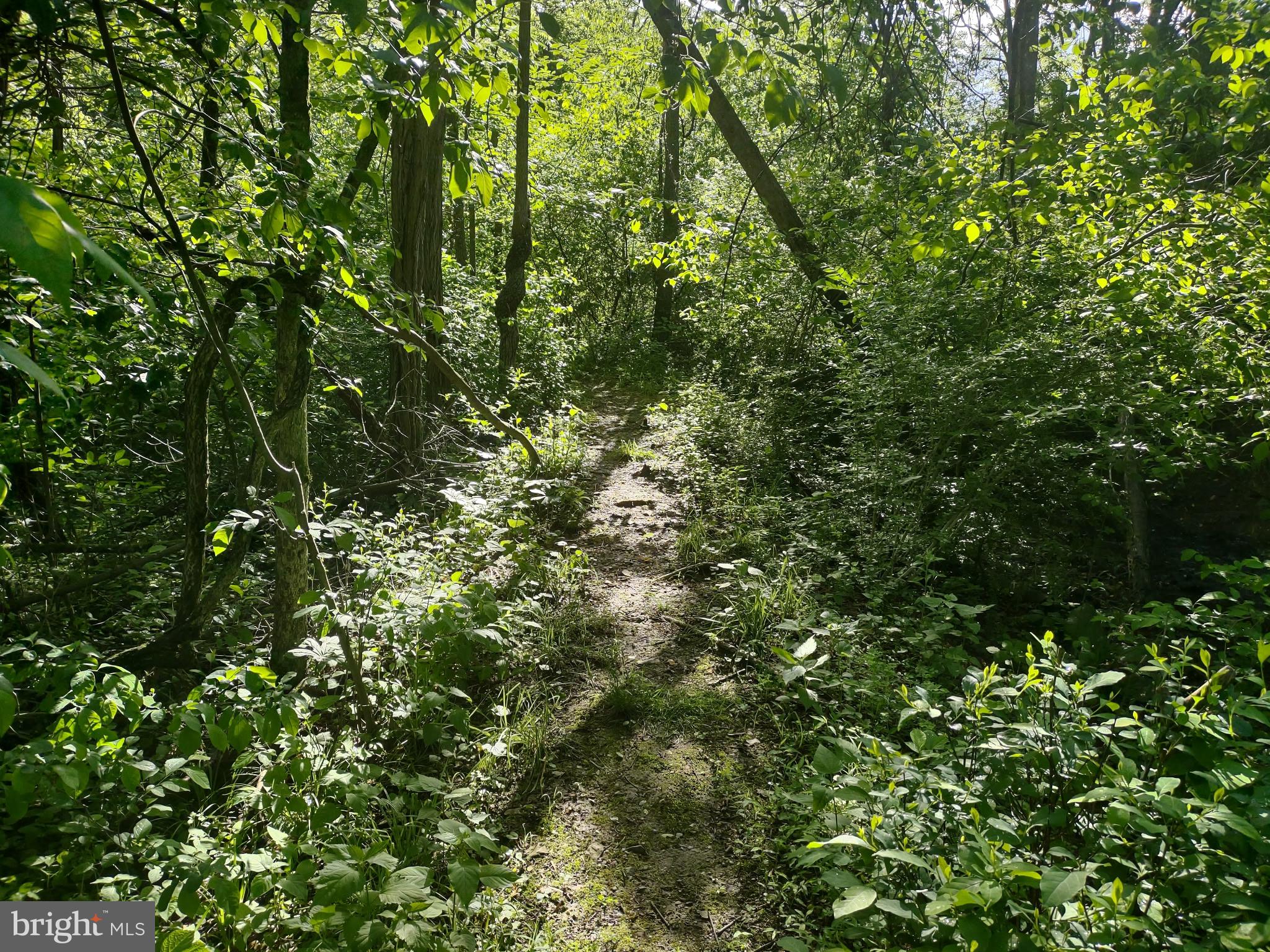 SUMMIT POINTE - Residential