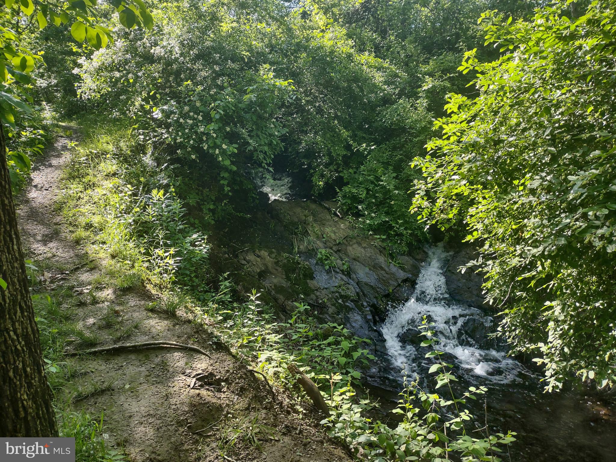 SUMMIT POINTE - Residential