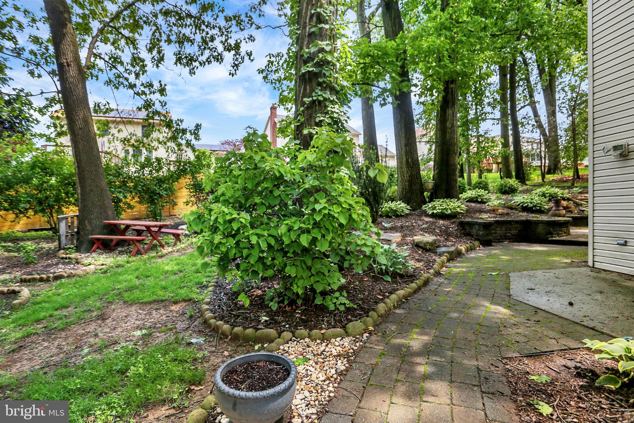 SUMMIT POINTE - Residential