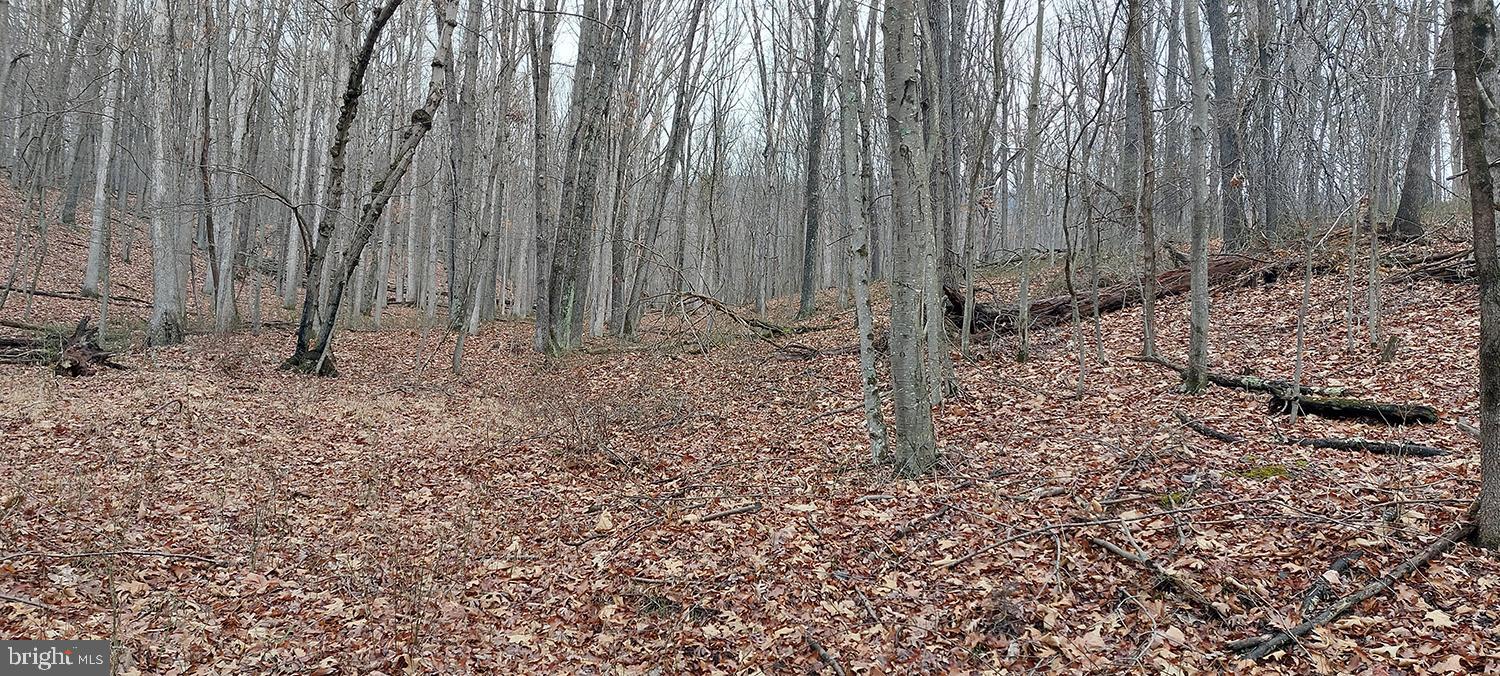 HIGH MOUNTAIN MEADOWS - Land