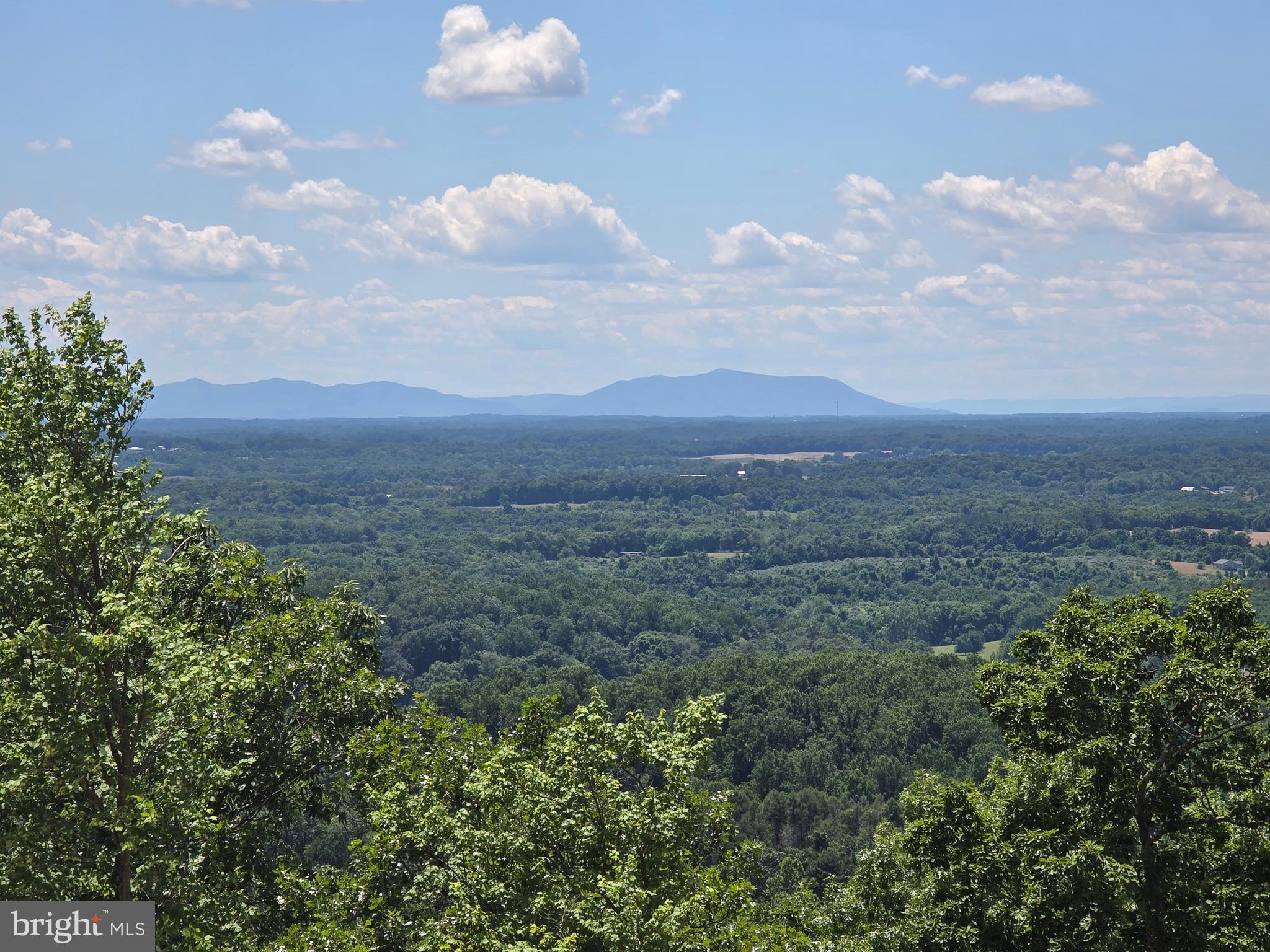 LAKE FOREST ESTATES - Residential