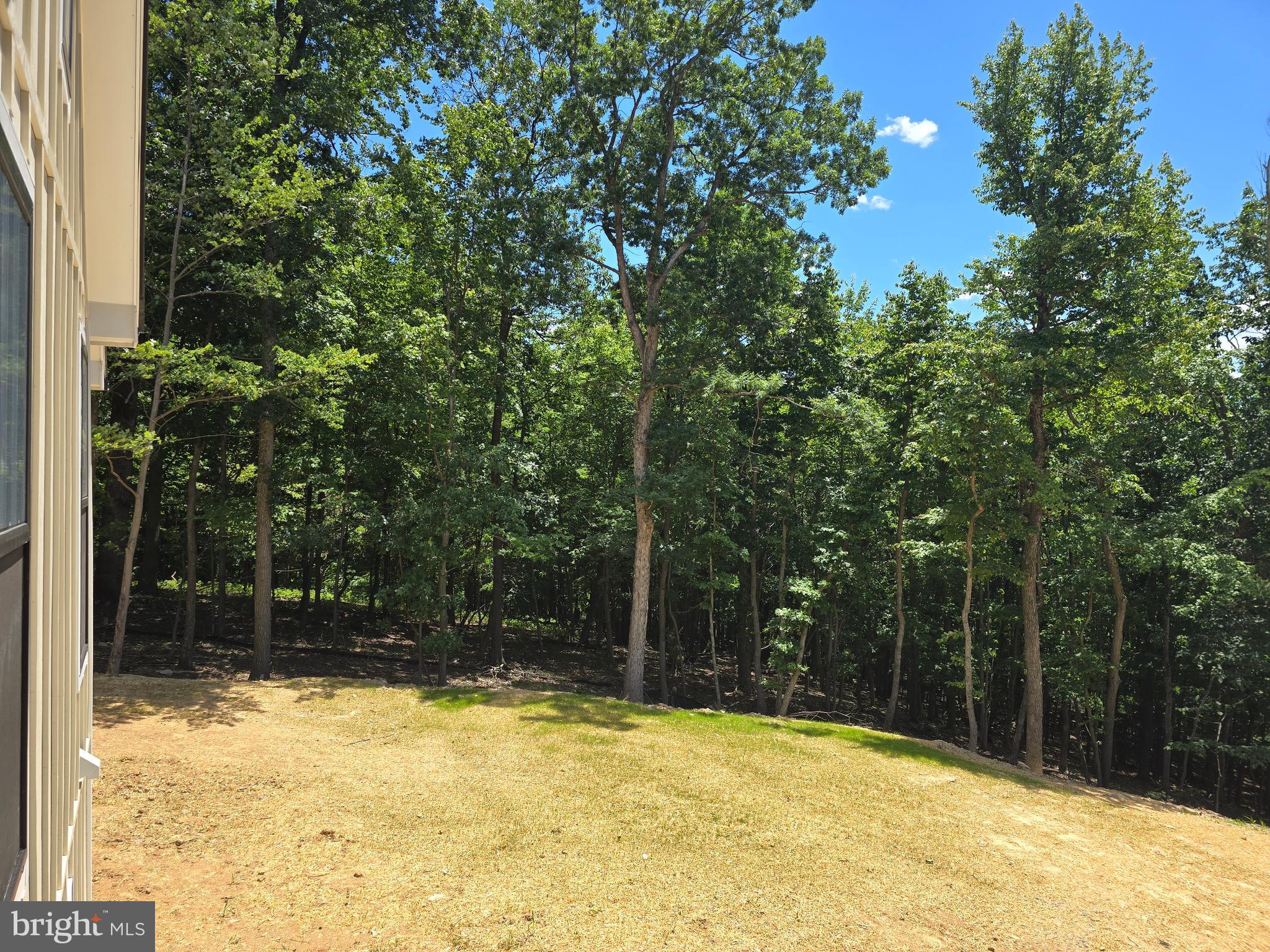 LAKE FOREST ESTATES - Residential