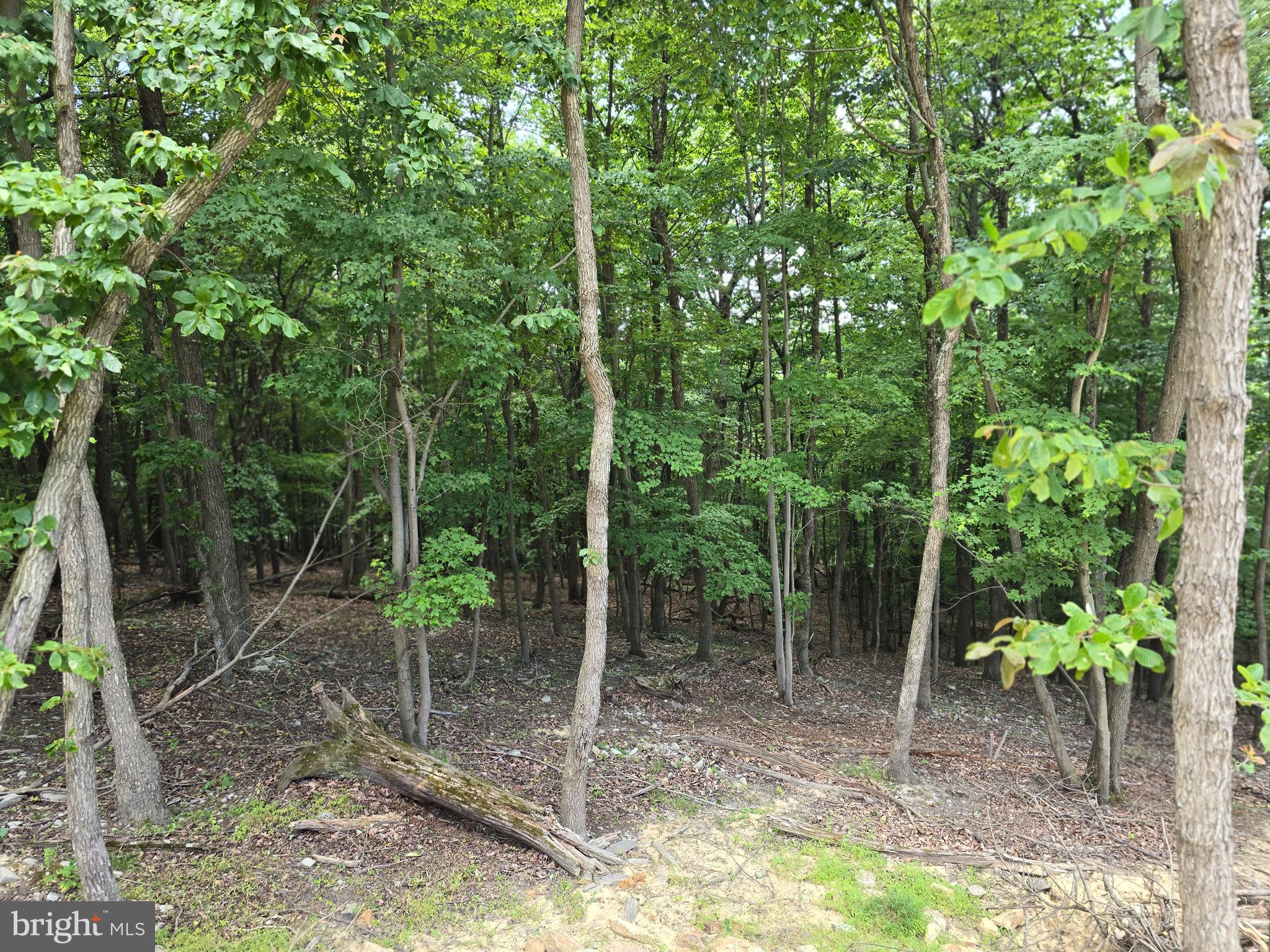 LAKE FOREST ESTATES - Residential