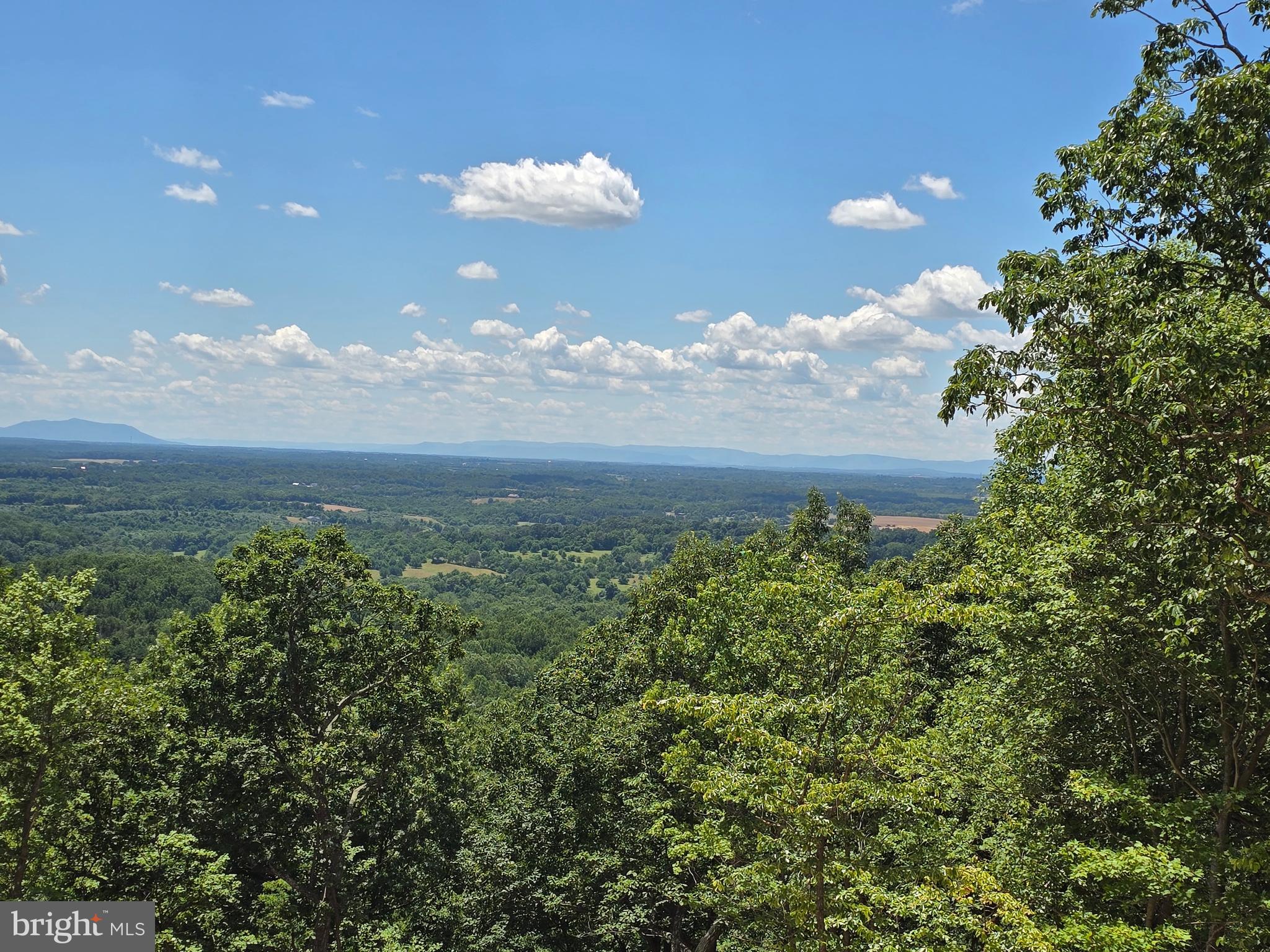 LAKE FOREST ESTATES - Residential