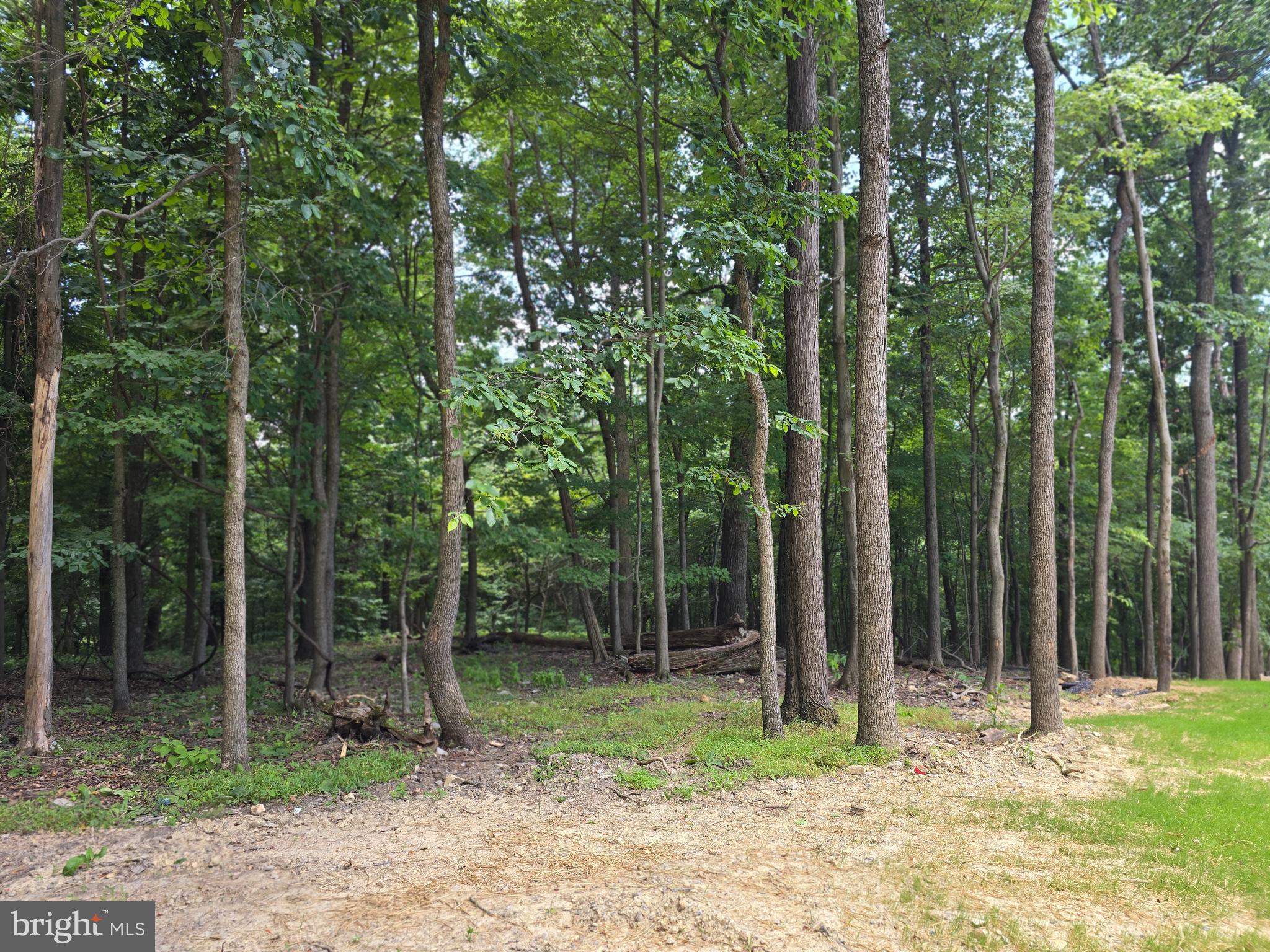 LAKE FOREST ESTATES - Residential