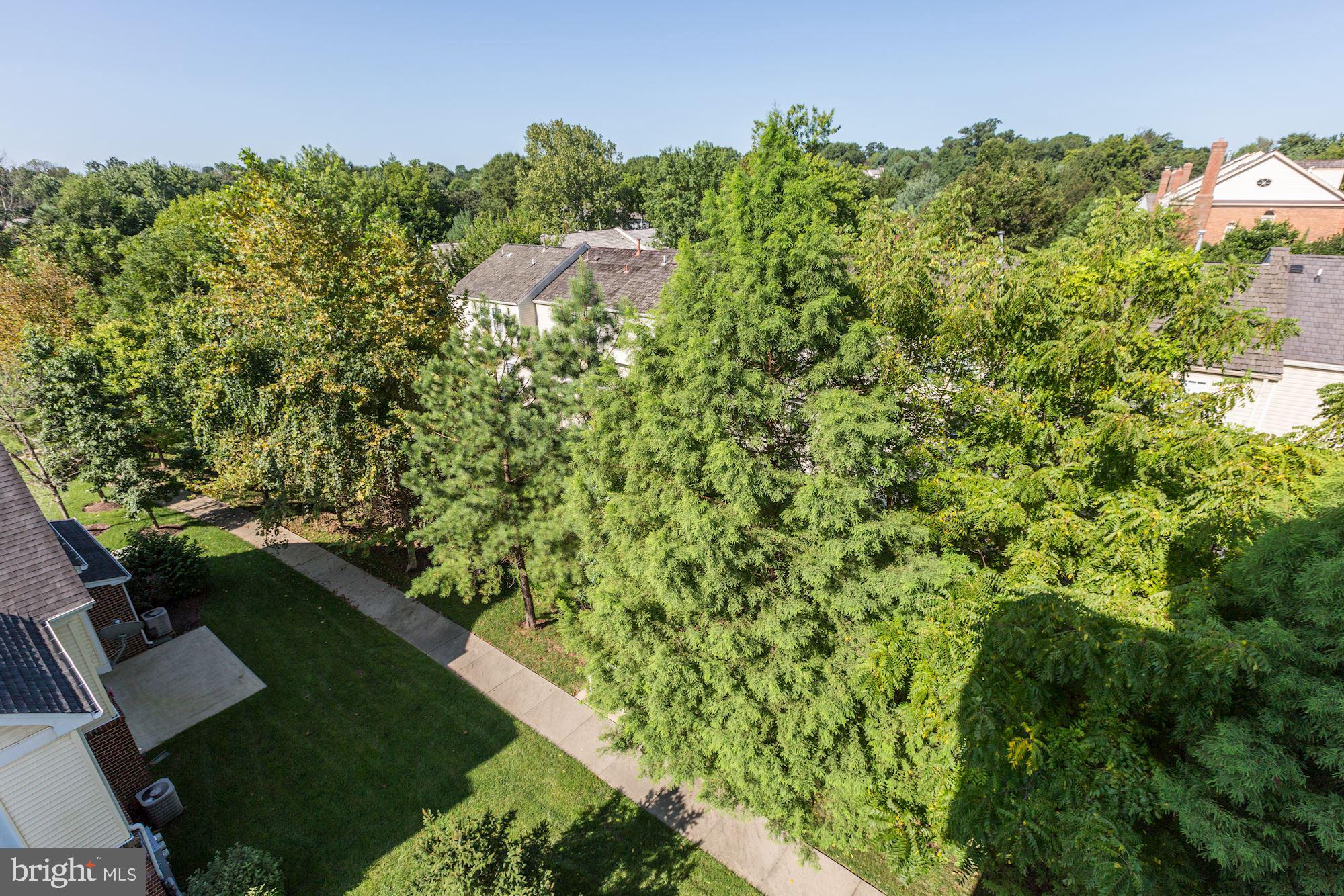 11924 DARNESTOWN ROAD 301