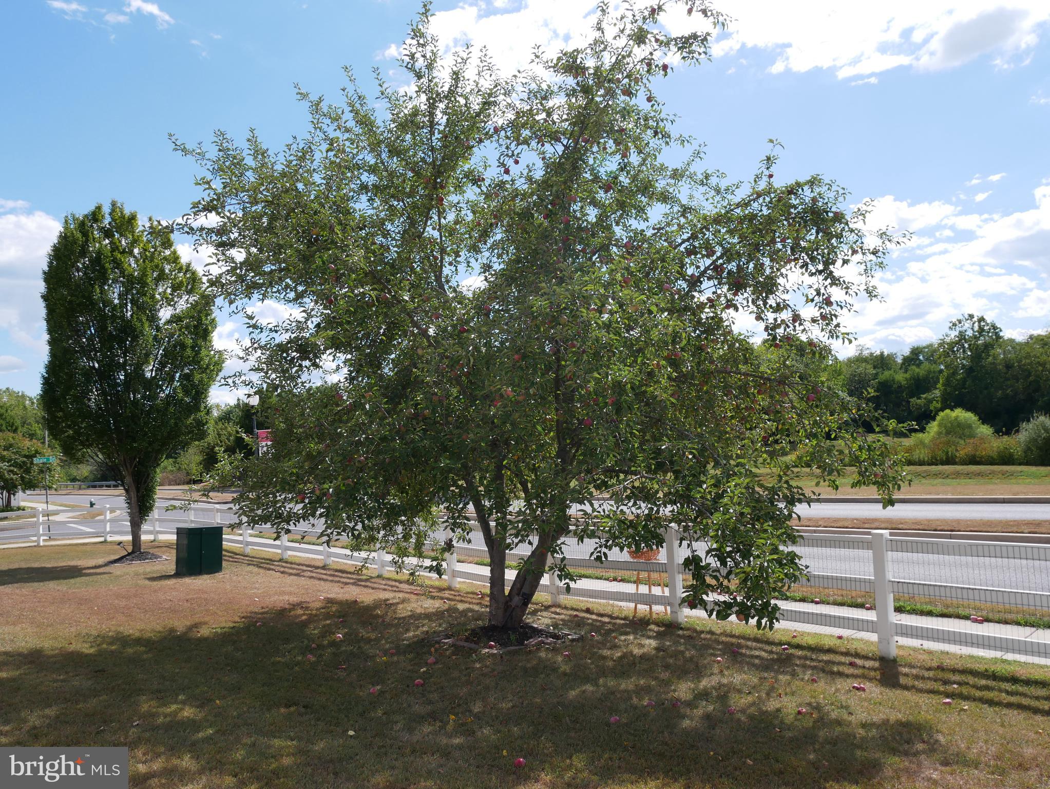 WASHINGTON COUNTY - Residential