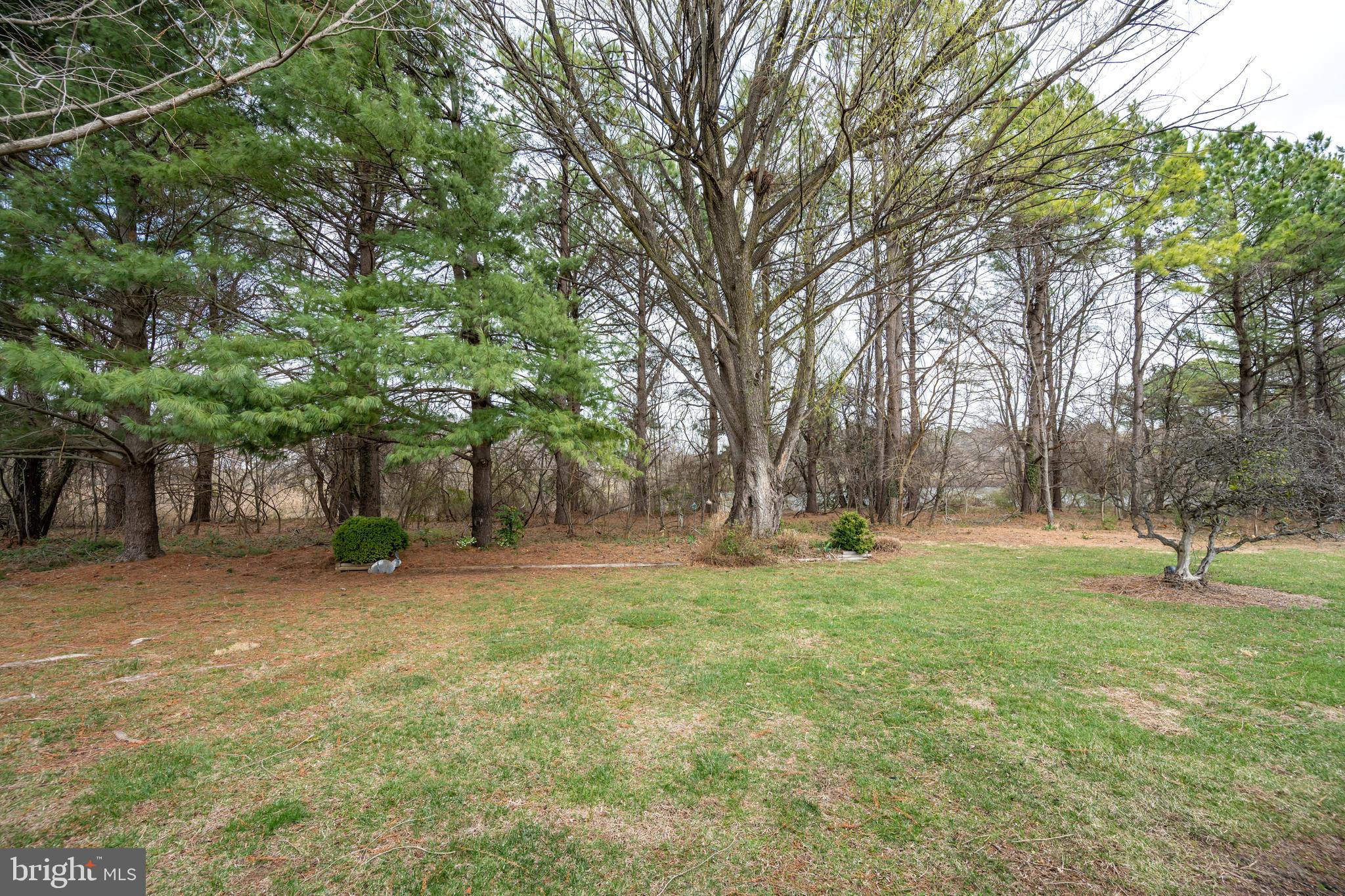 CHESTERTOWN - Residential