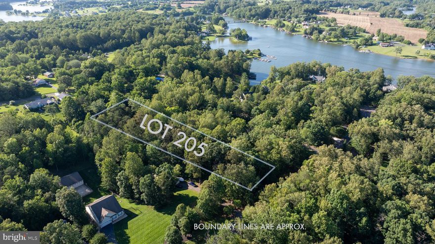 Build Your Dream Lake Anna Lifestyle – Water Access Lot with Boat Slip!
Don't miss this rare opportunity to own a beautiful 1-acre, wooded water access lot located on the public side of Lake Anna, tucked away on a peaceful cul-de-sac. This lot includes a deep-water boat slip and is just steps from the community’s premier peninsula common area, offering breathtaking panoramic lake views, a private boat ramp with ample trailer parking, a sandy beach, picnic tables, grill, and a community fire pit – perfect for relaxing evenings and lakeside gatherings.  The lot gently slopes at the rear, making it ideal for a walkout basement, and backs to mature woods for added privacy.  A 3-bedroom perc was completed in 2003. The annual HOA fee is only $130, with an additional $200 annual boat slip fee. 
Bonus opportunity: Lots 205 and 206 are both available, each priced the same and approximately the same size – perfect for side-by-side purchases with friends or family, or buy both to maximize privacy and space.  Conveniently located less than five minutes (by boat or car) to The Cove restaurant, gas station, and convenience store. You're also just a short drive to the Food Lion shopping center and other restaurants and local attractions. Come see it in person – it's even better than the pictures!